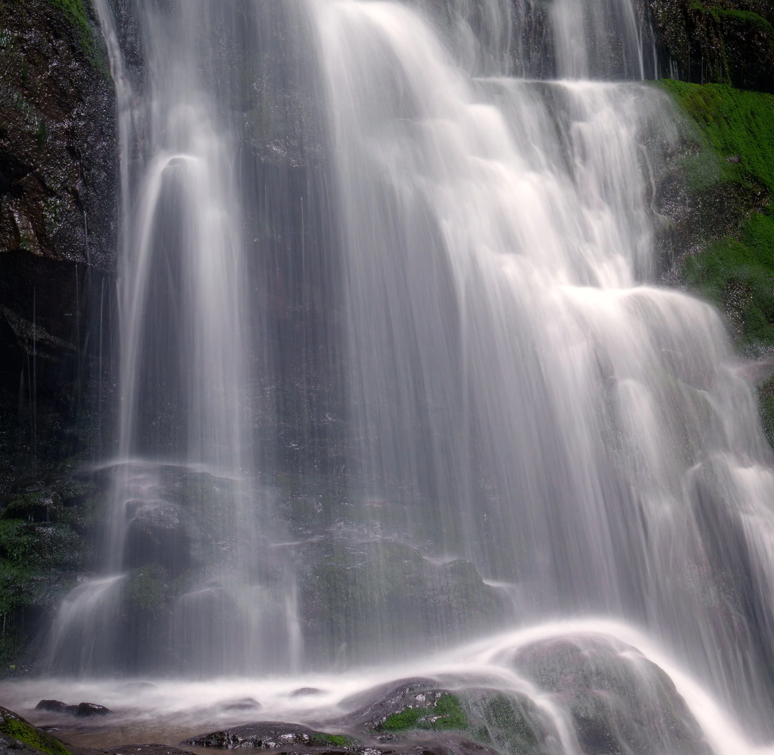 spruce_falls_up_close-WEB.jpg
