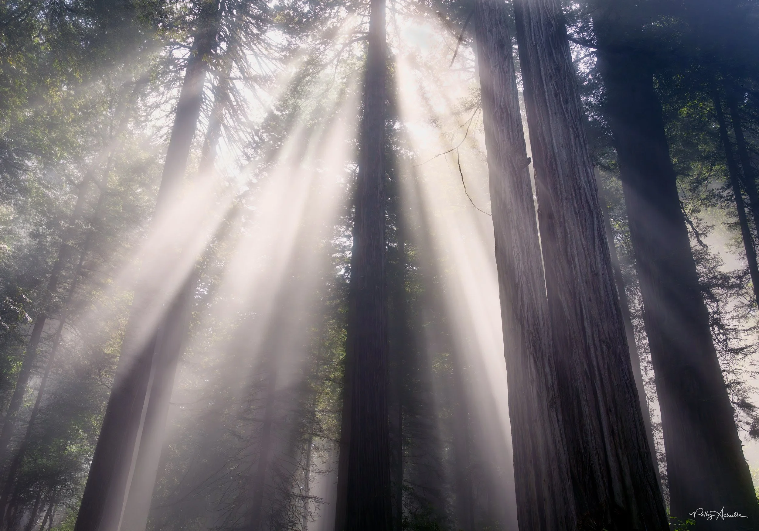del_norte_sun_beam-WEB.jpg