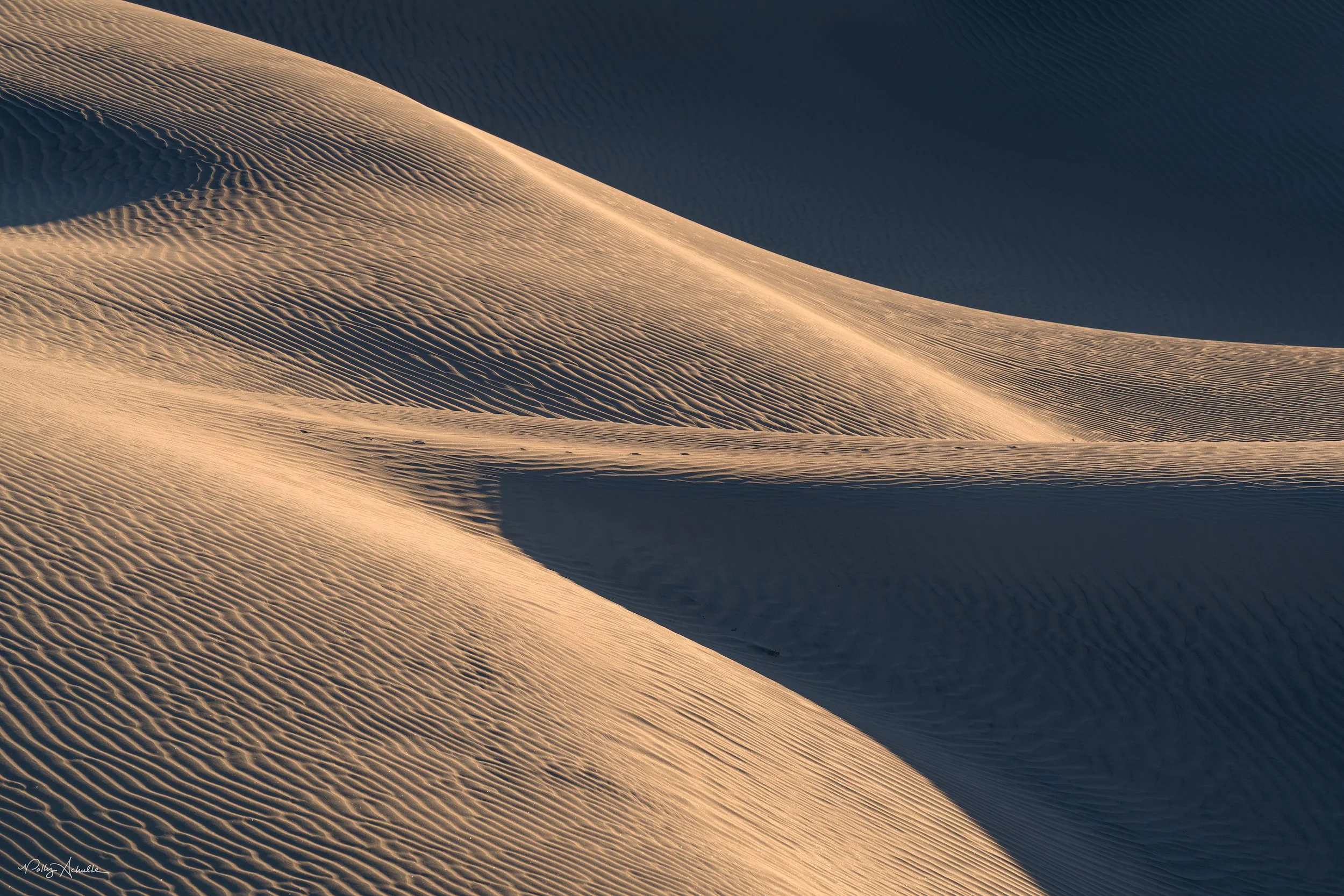 Mesquite Dunes Death Valley National Park, CA (2026)