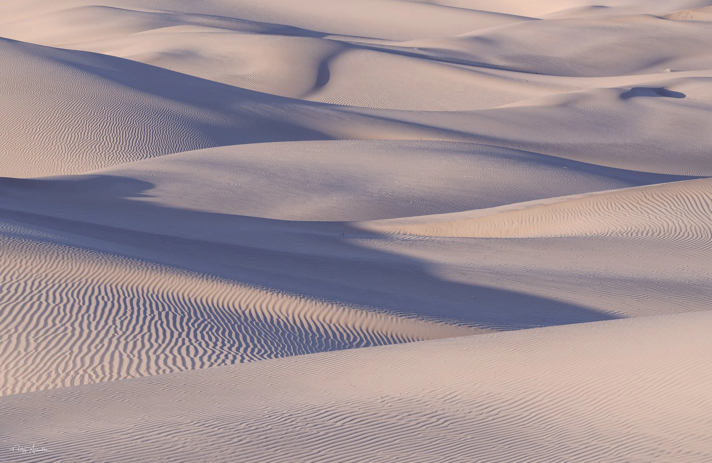 Mesquite Dunes Death Valley National Park, CA (2026)
