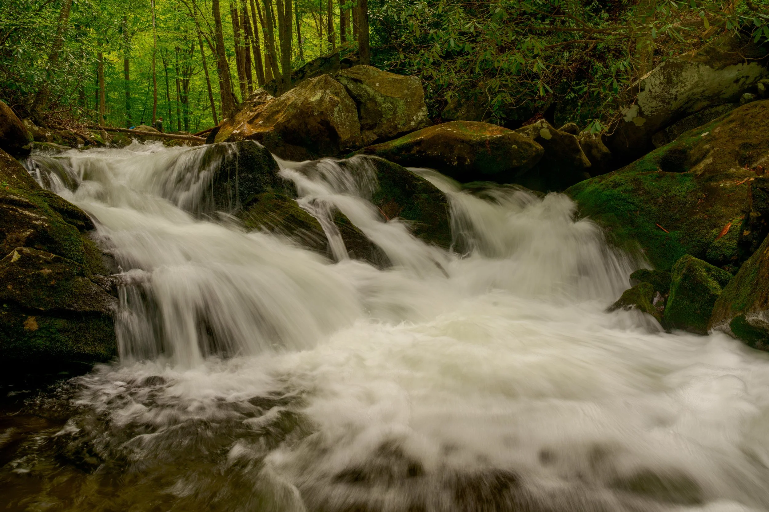 DSC06685-Edit.jpg