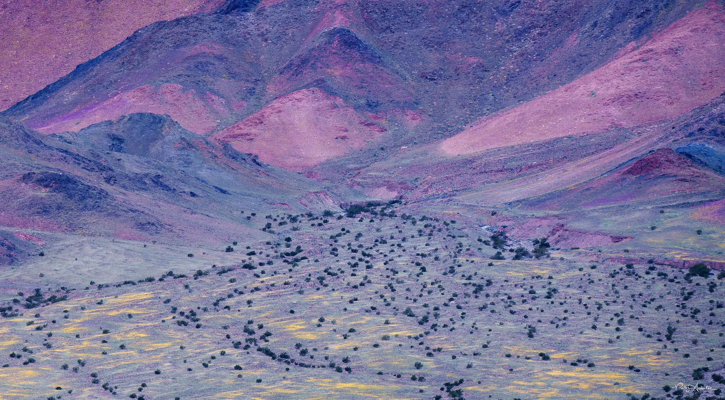 Ibex Death Valley National Park, CA (2026)