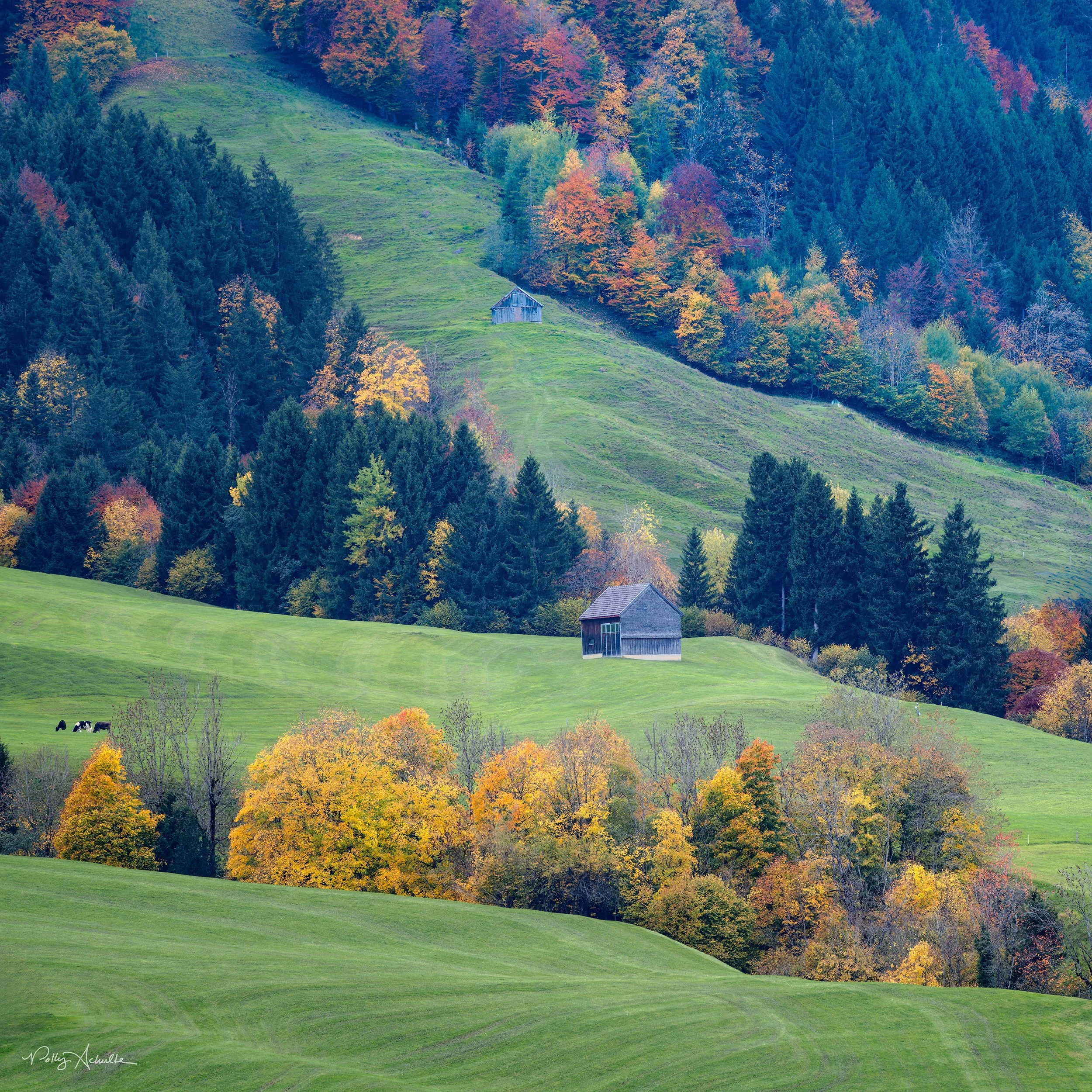 Appenzell, Switzerland (2025)