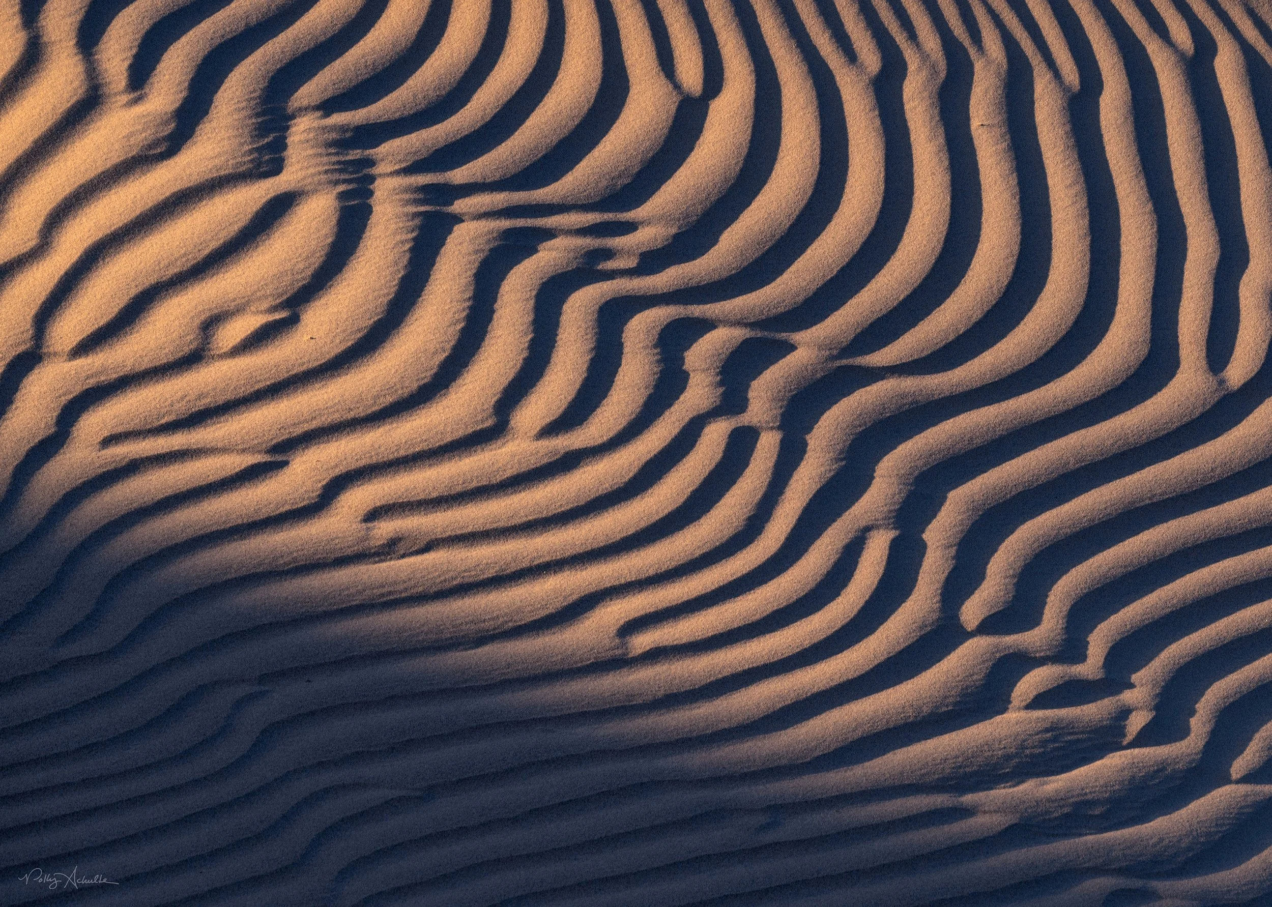 Mesquite Dunes Death Valley (2026)