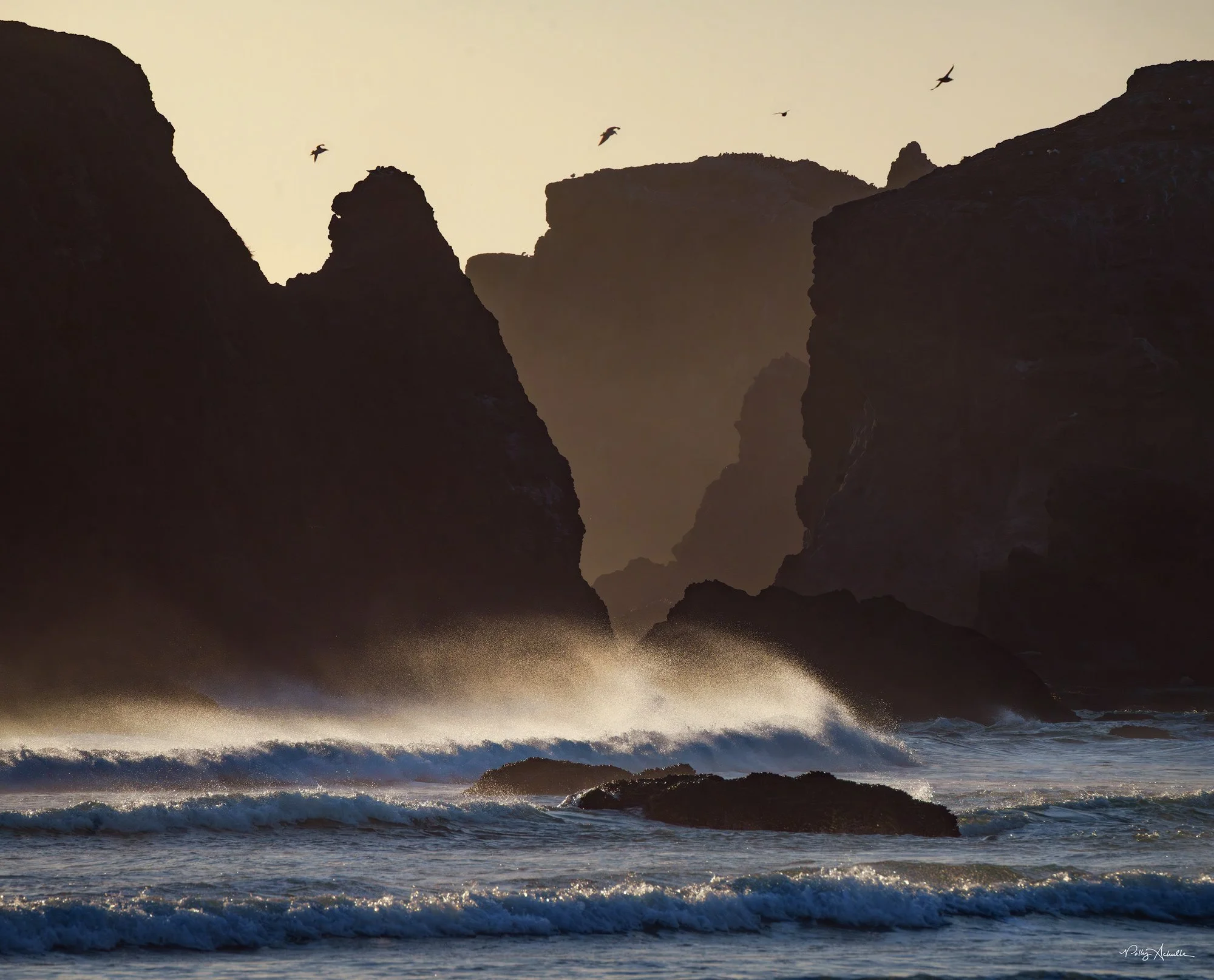 bandon_wind_seastacks_birds-WEB.jpg