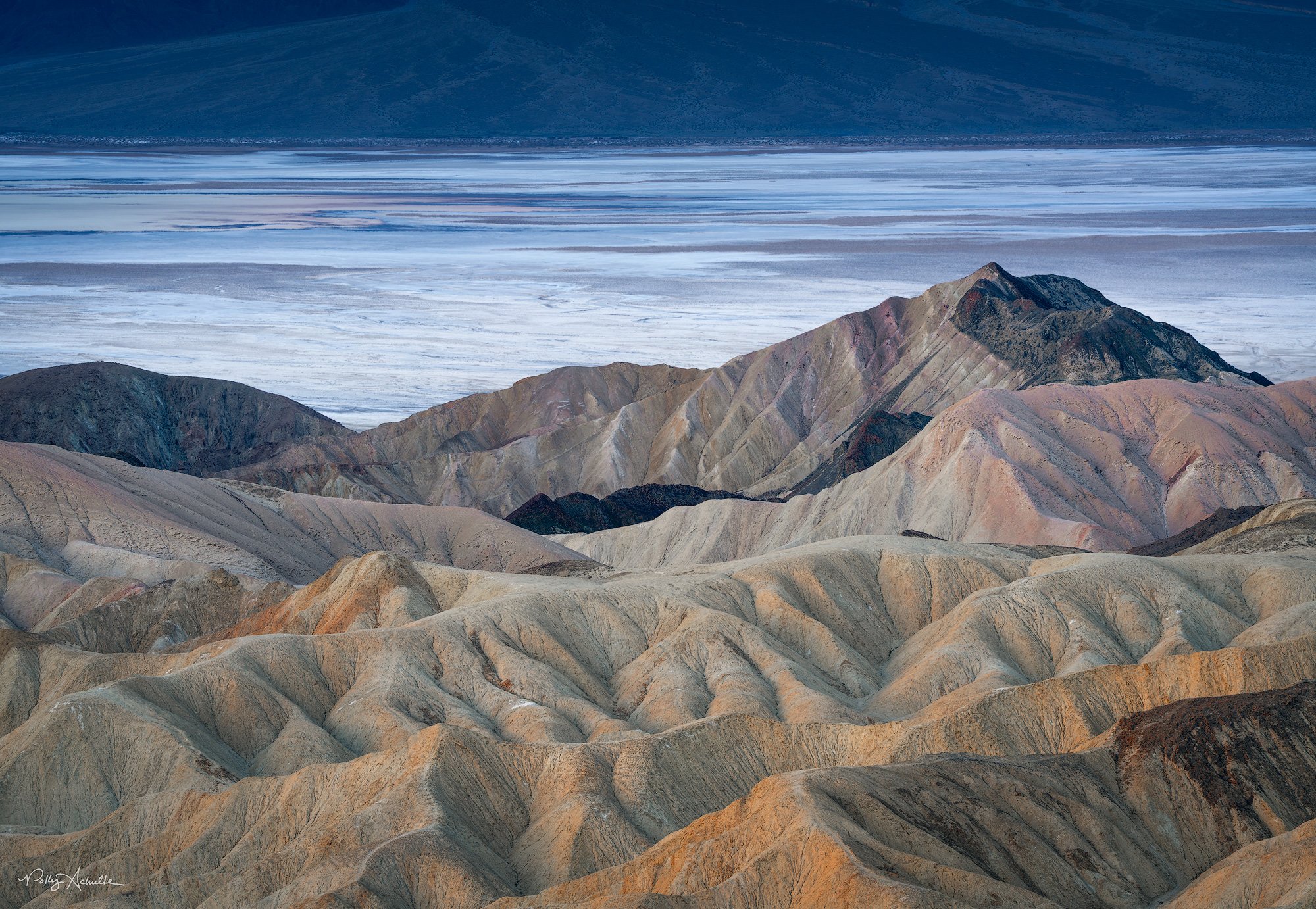 zabriskie_dante-web.jpg