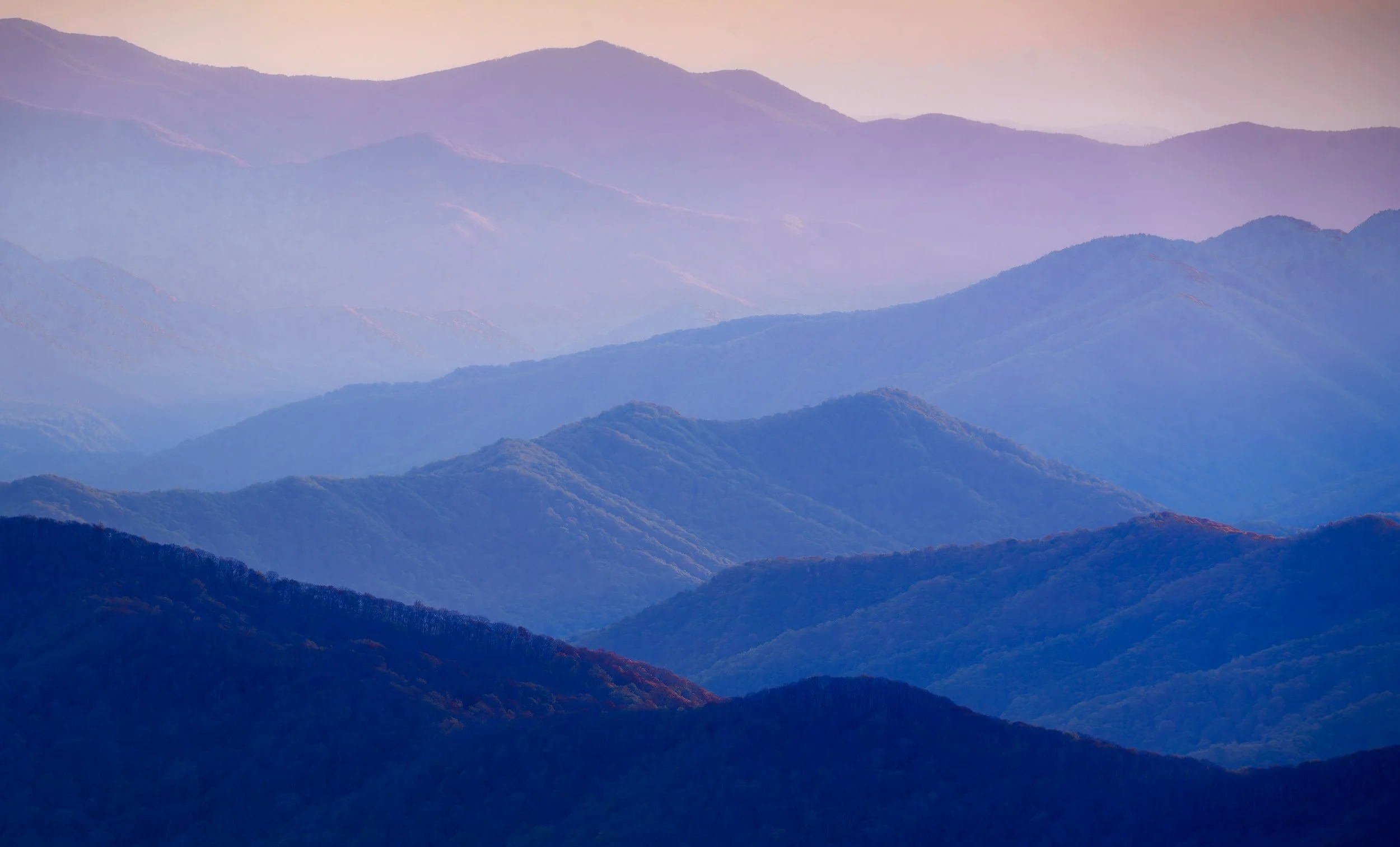 clingmans_up_close-WEB.jpg