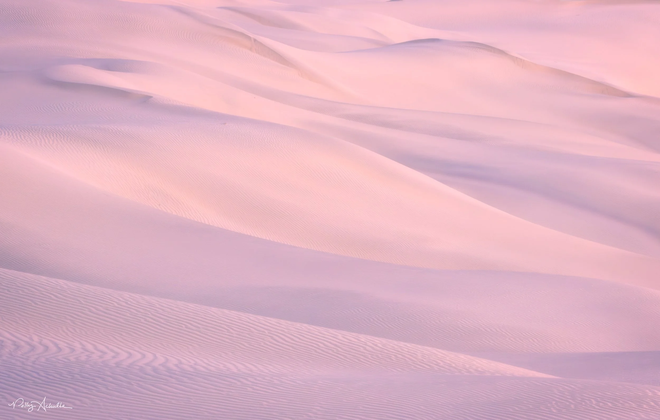 Mesquite Dunes Death Valley National Park, CA (2026)
