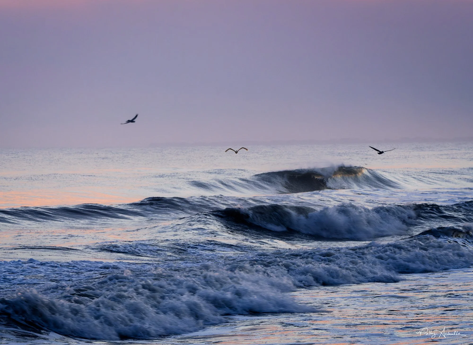 Three_birds-web.jpg