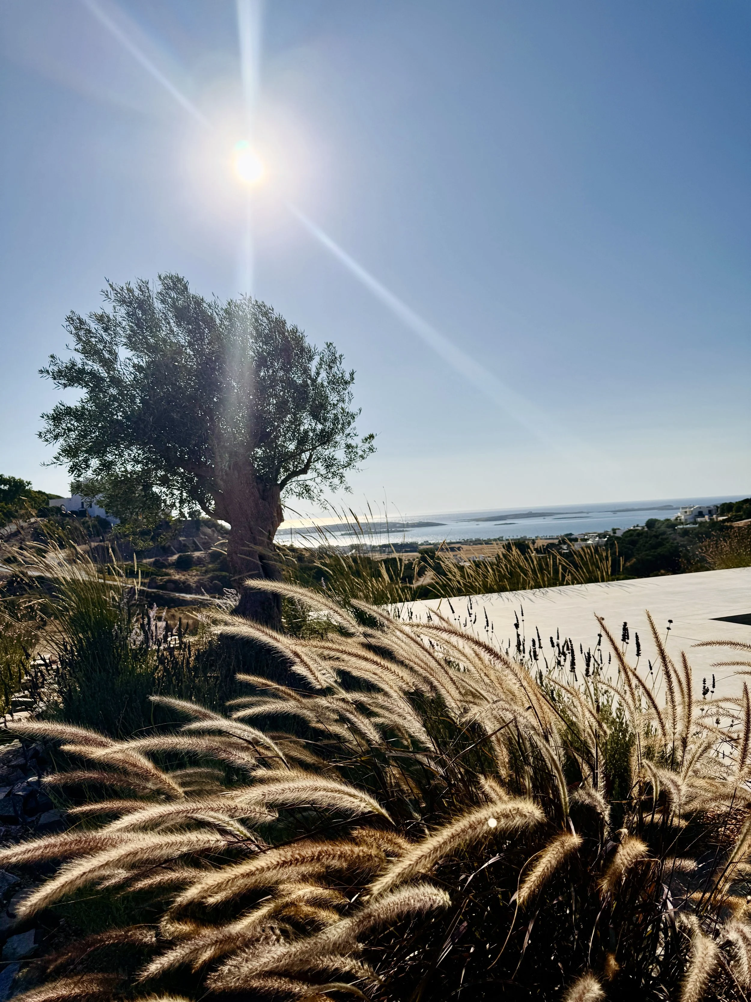 006 069GETAROOM 37NORT.jpeg