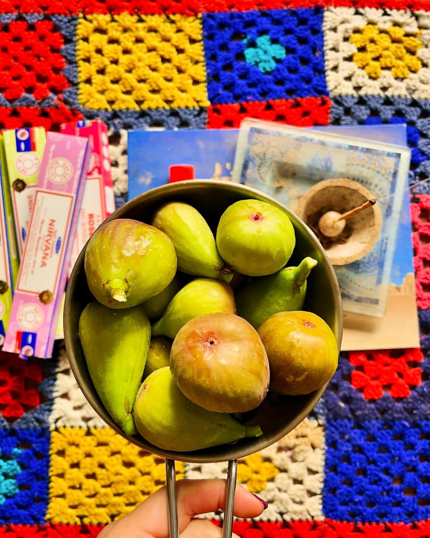 an old, happy #fig tree sprouting new fruit, cold showers, #incense, tibetan flute #music and walking around the house #naked. i am so grateful for my life 💜