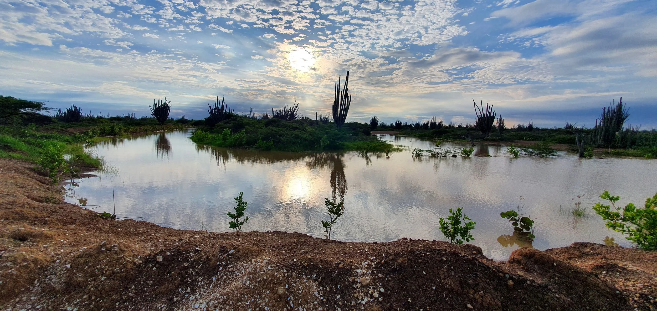 BonBèrdè - water management.jpg