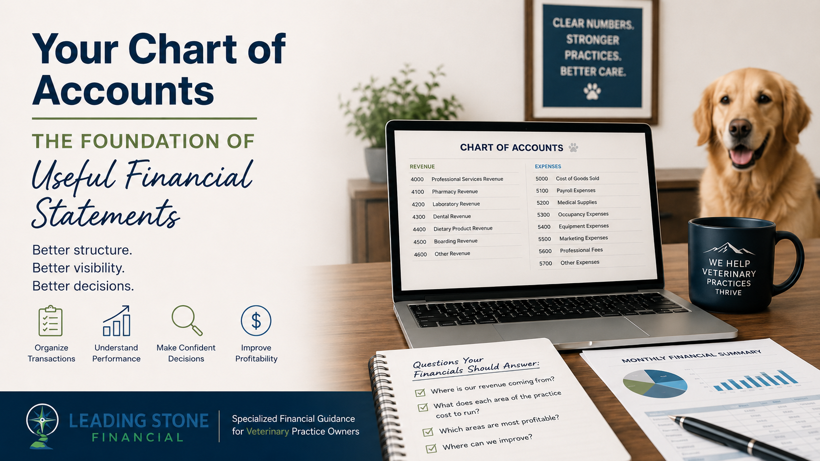Why your Veterinary Practice’s Financial Statements Don’t Make Sense