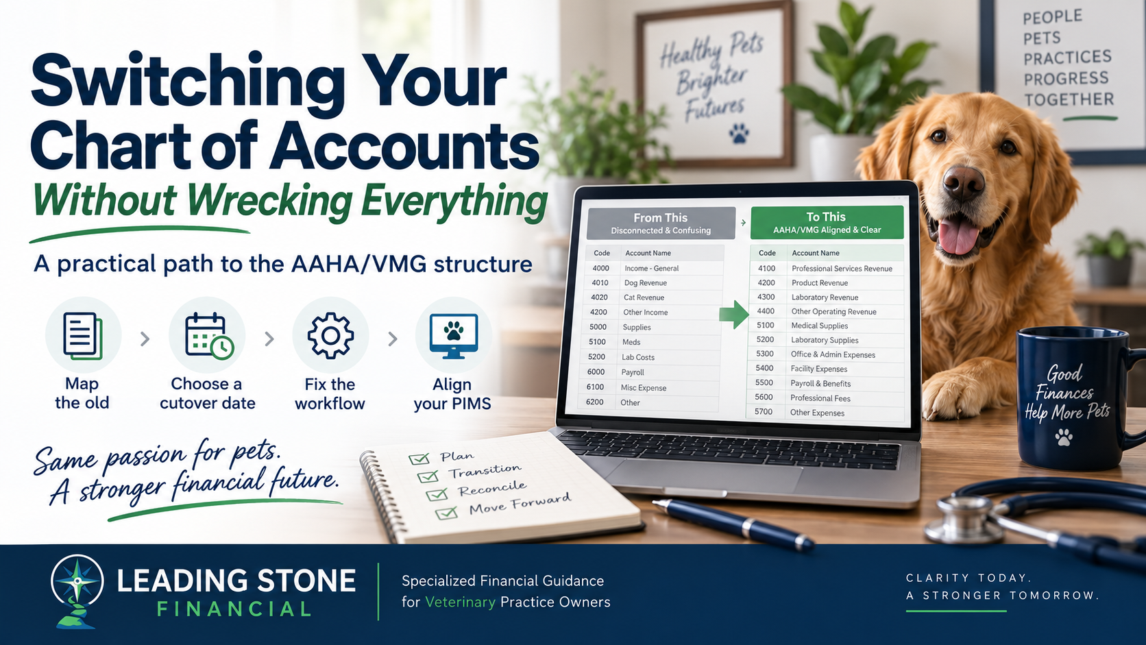 Switching Your Veterinary Practice to the AAHA/VMG Chart of Accounts Without Wrecking Everything