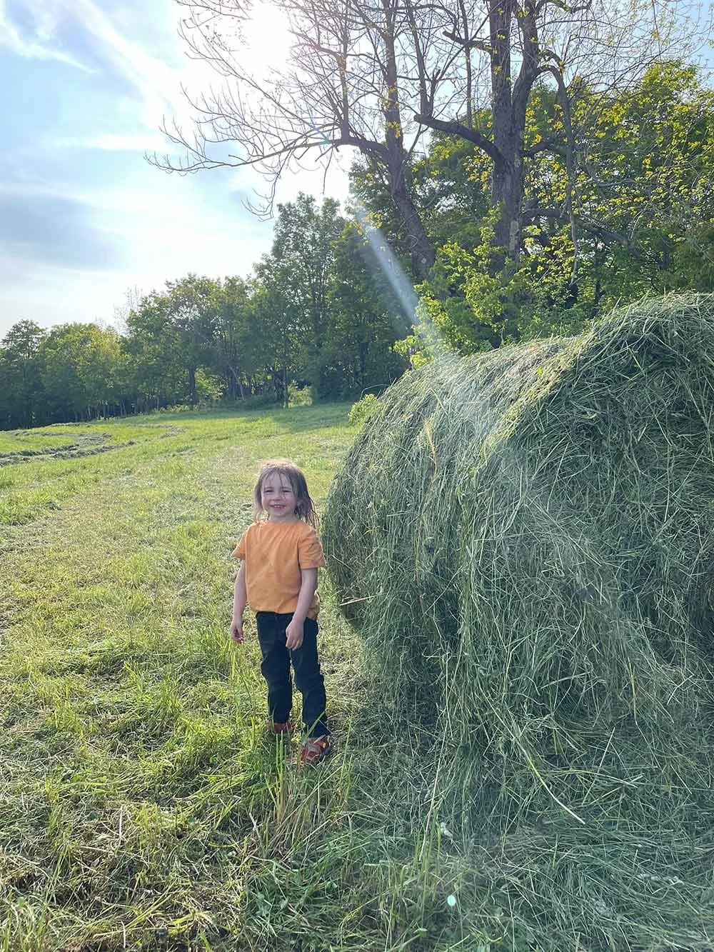 First Cut of Hay is DONE for 2025!
