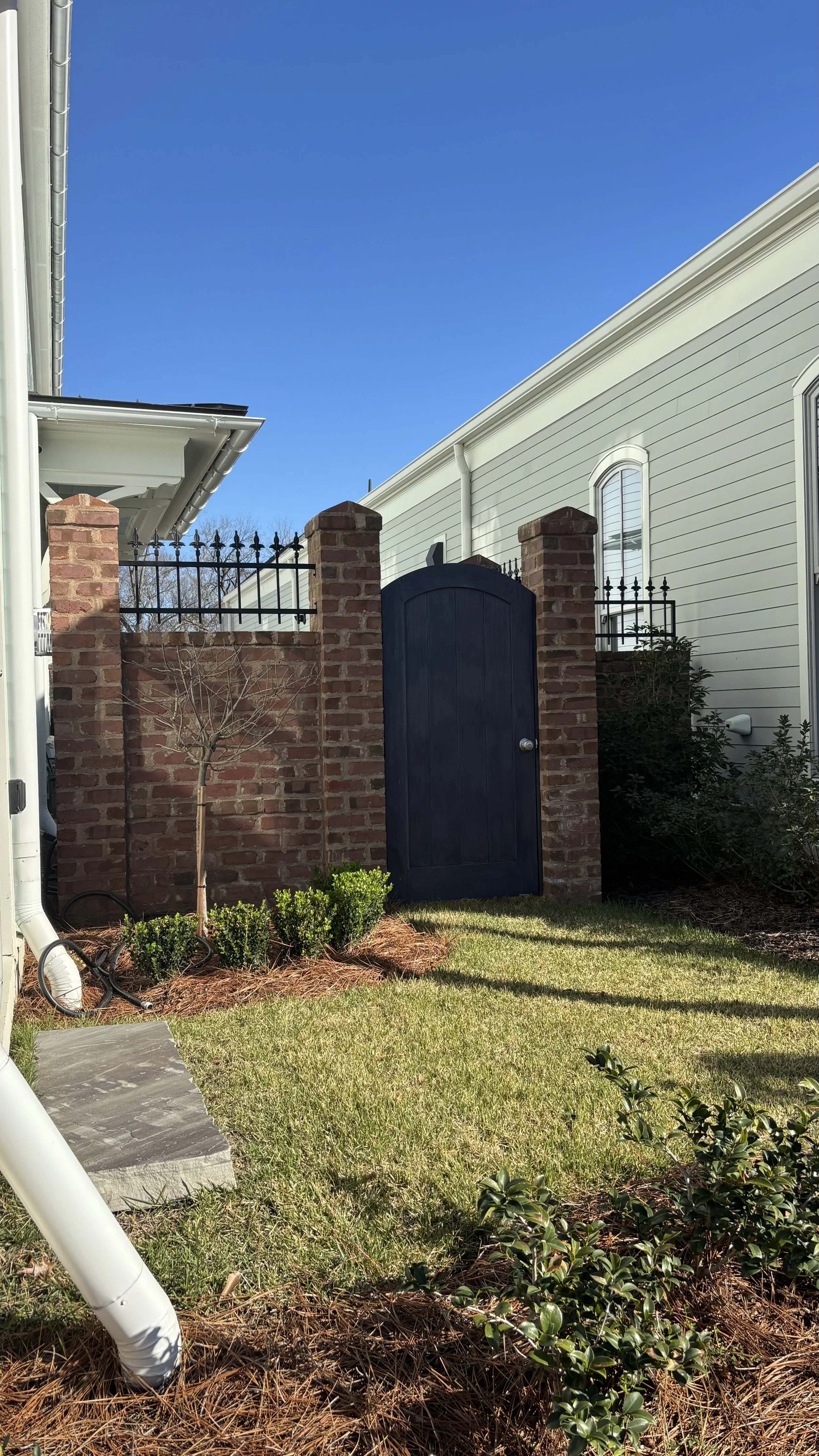 A backyard with a brick wall and black wooden gate, lawn, small trees, and shrubs under a clear blue sky.