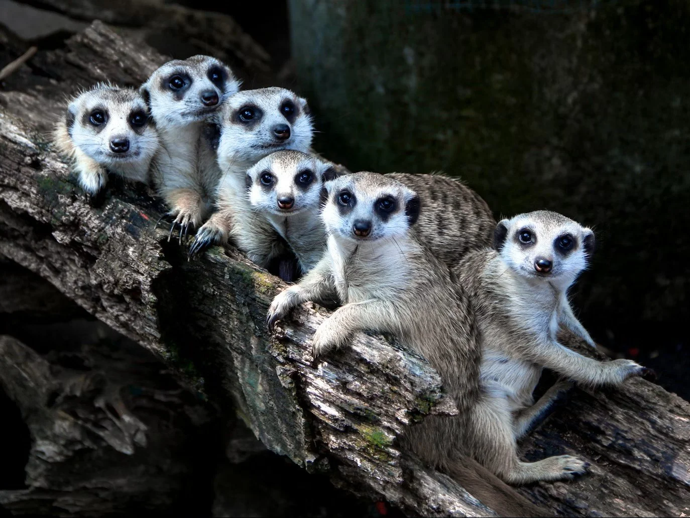 To help end the isolation epidemic, keep friendship human