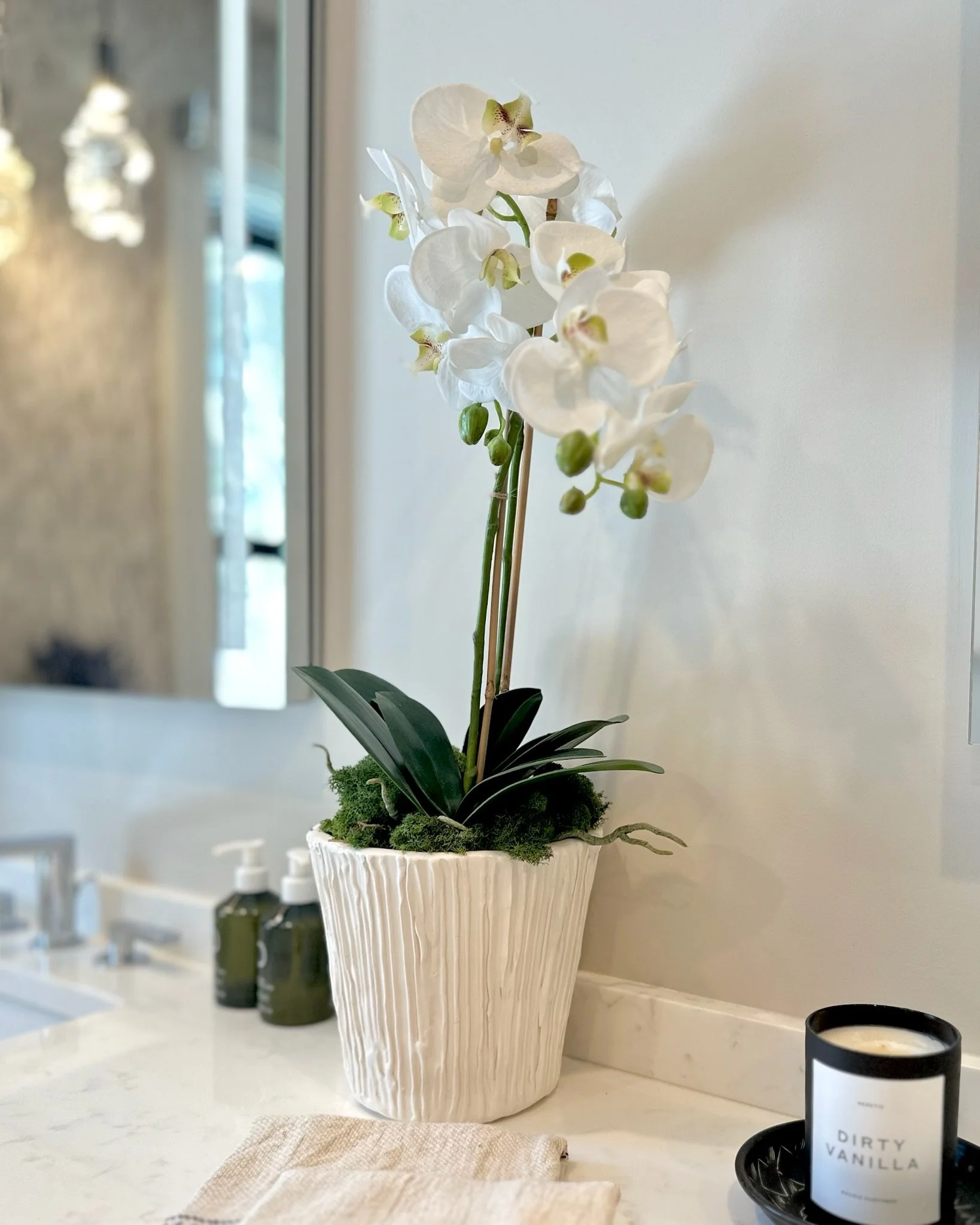 Bathroom Plant - Orchids