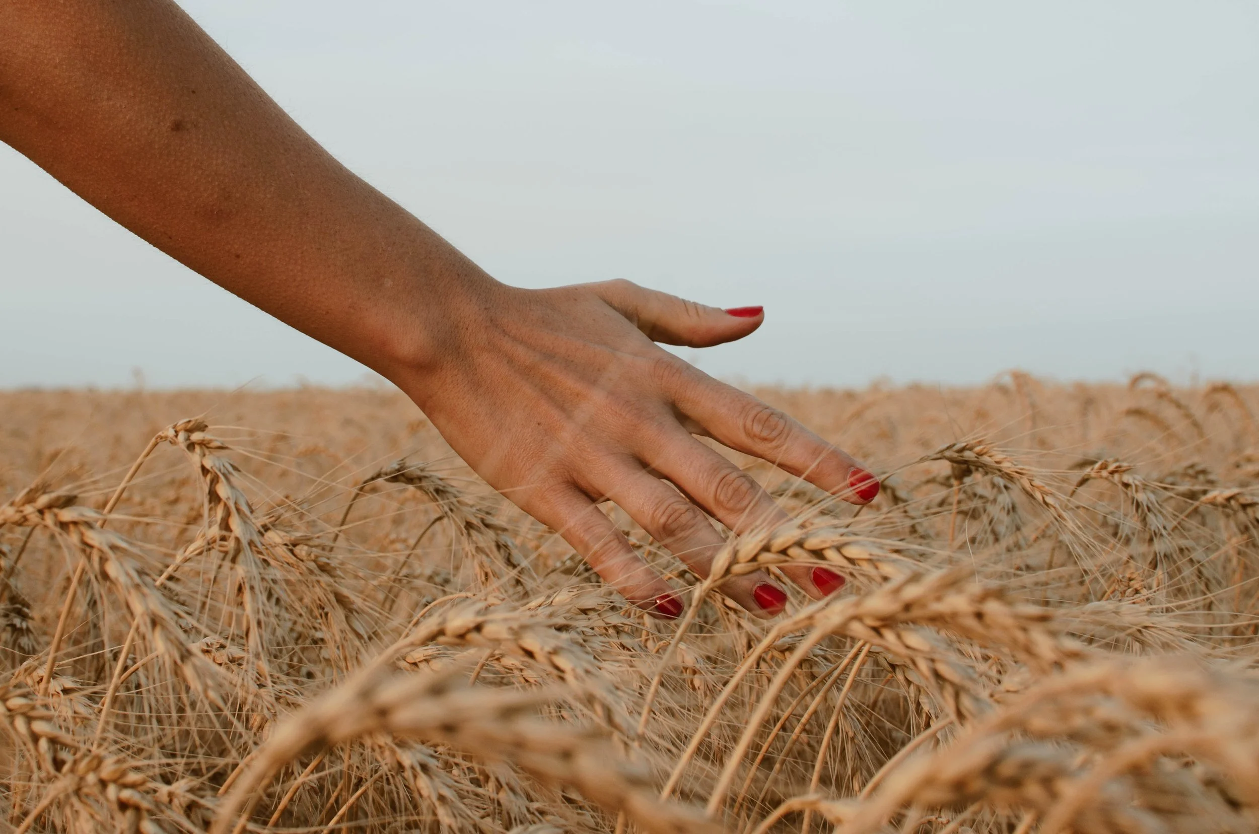 Toxin Free Hair &amp; Nail Care Guide