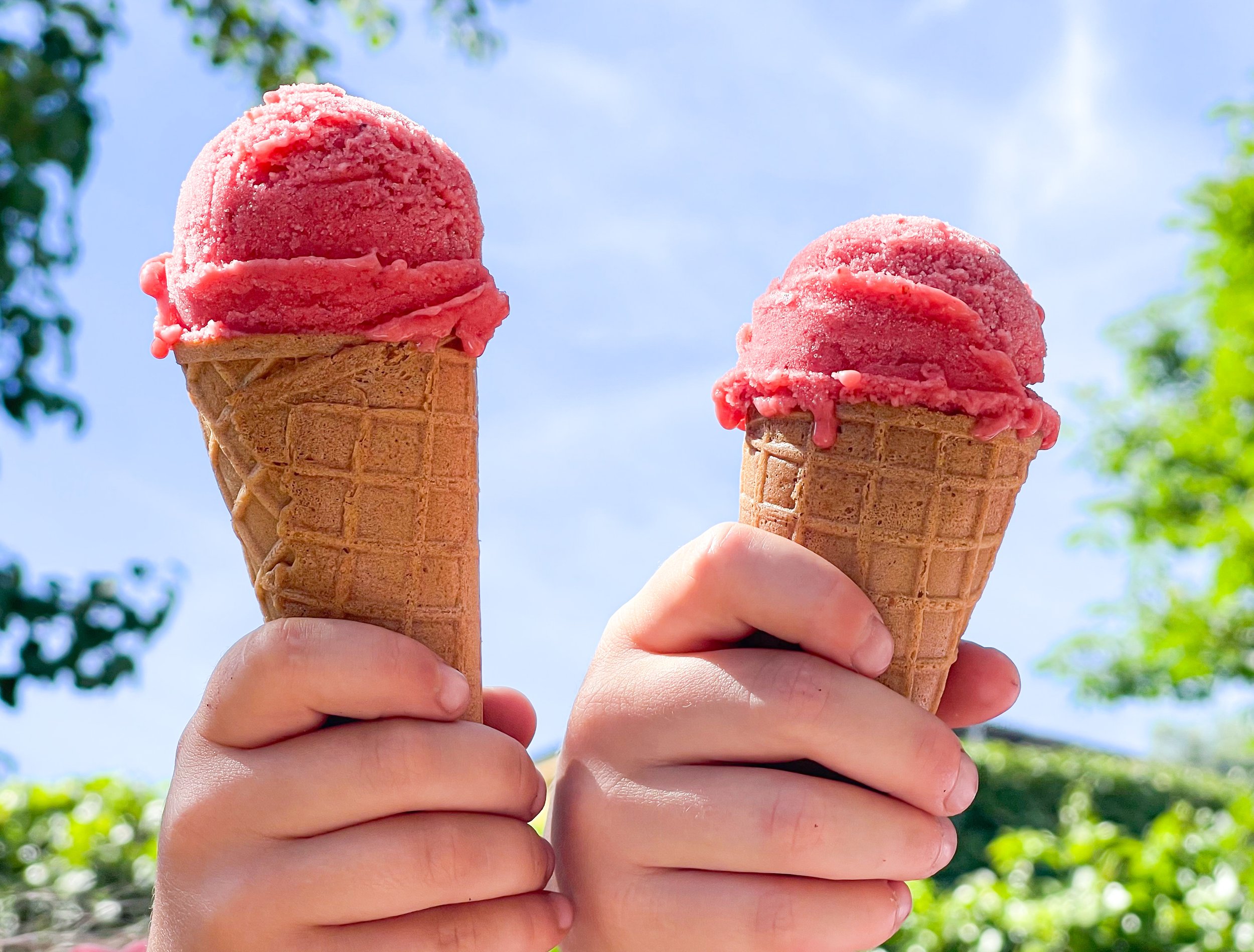 Creamy 3-Ingredient Strawberry Ice Cream