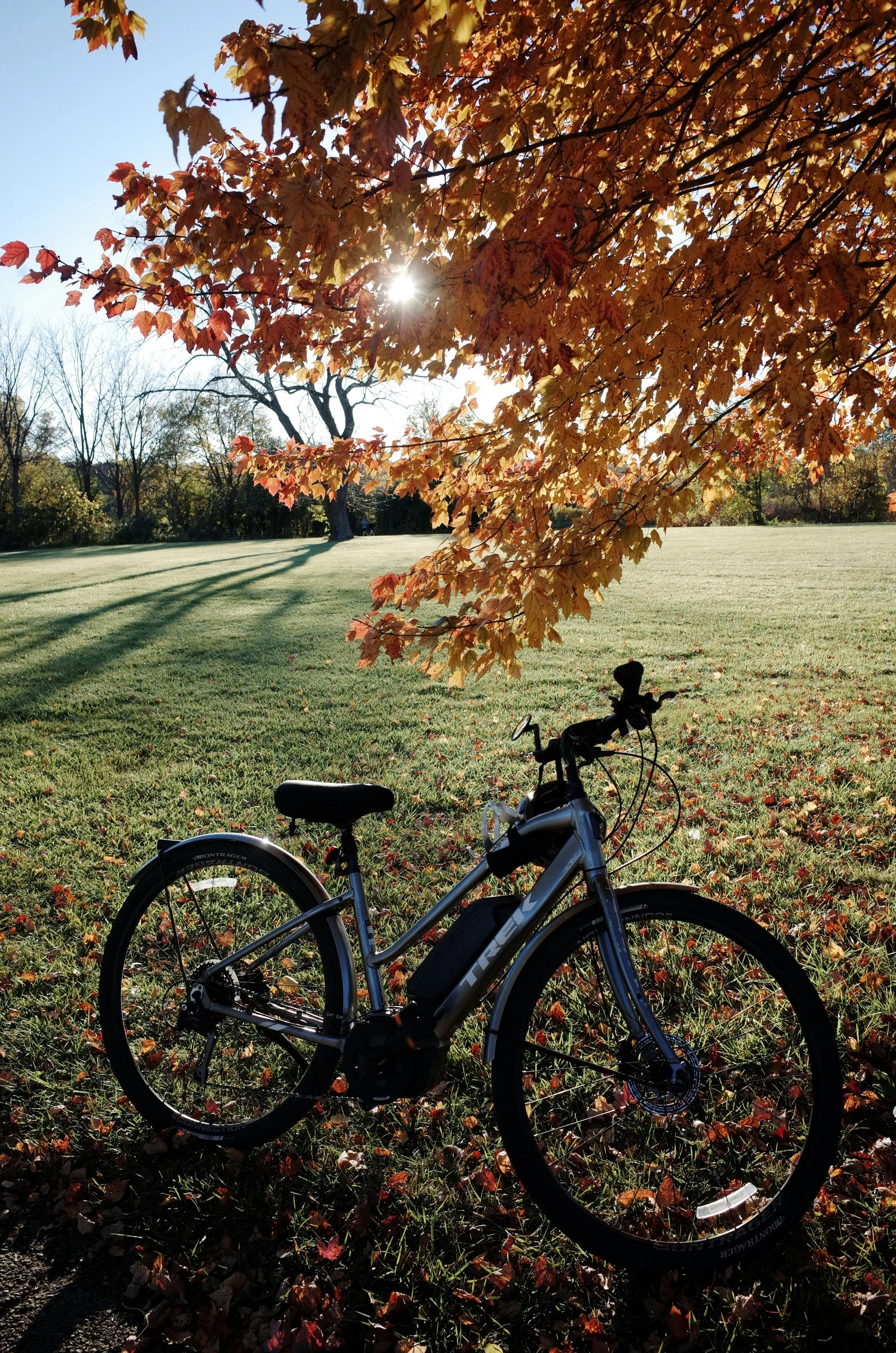 A bicycle parked on grass in a park during autumn with fallen leaves on the ground and a tree with orange and yellow leaves in the foreground. The sun shines through the tree leaves, casting shadows.