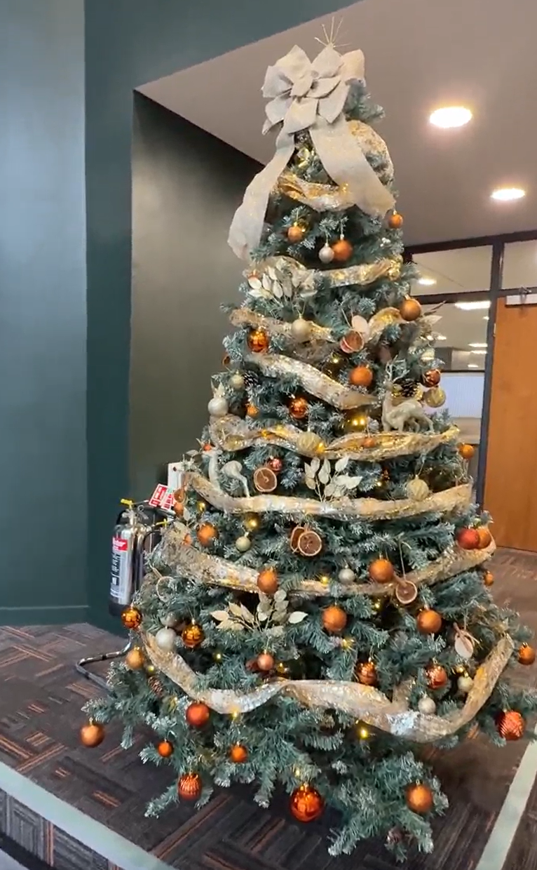 Screenshot 2025-12-11 131134.png