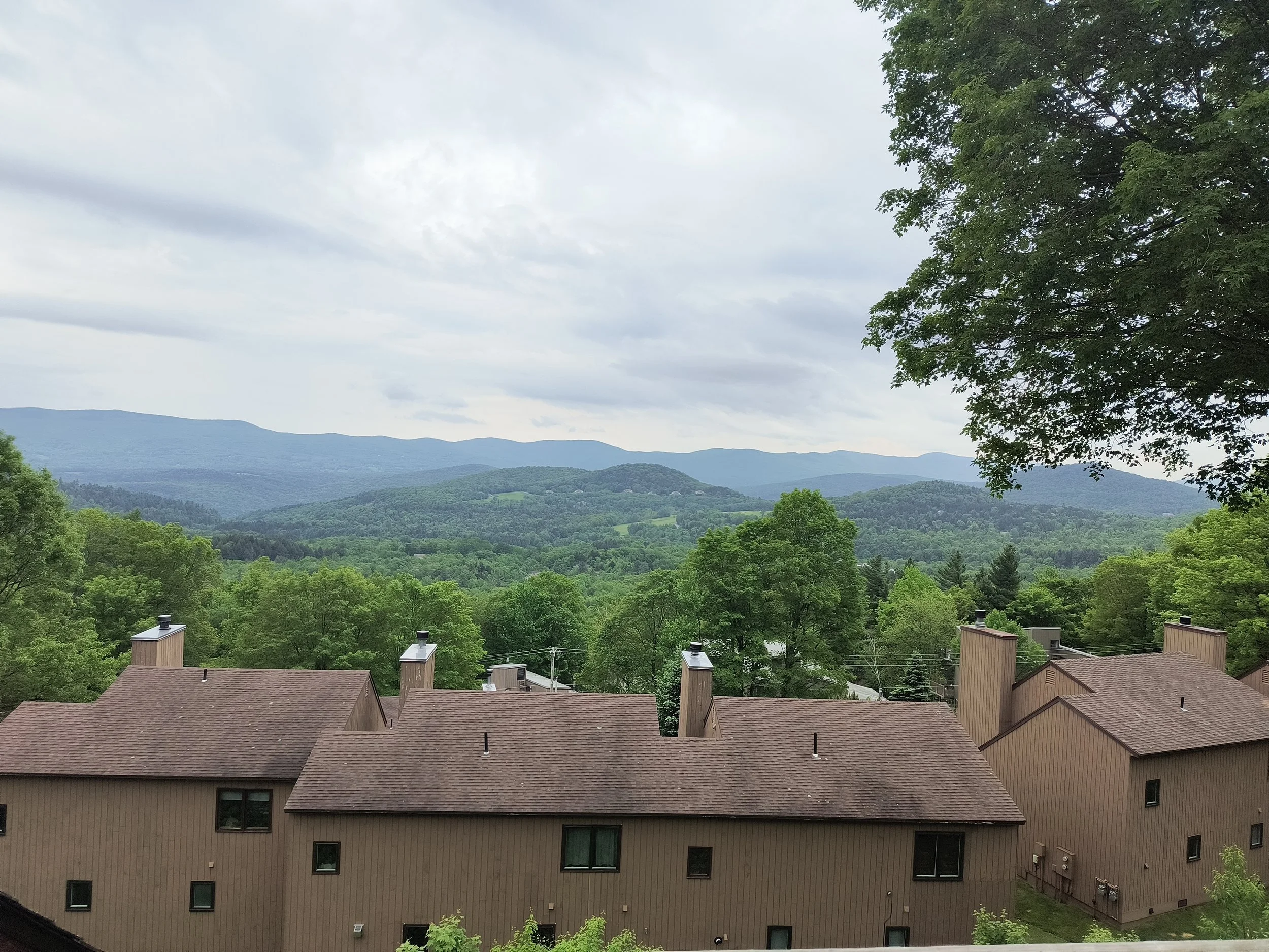 View