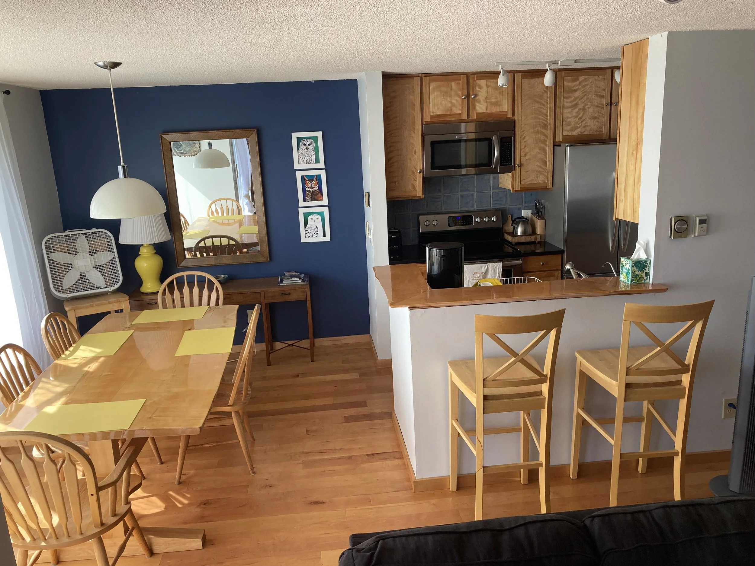 Dining/Kitchen