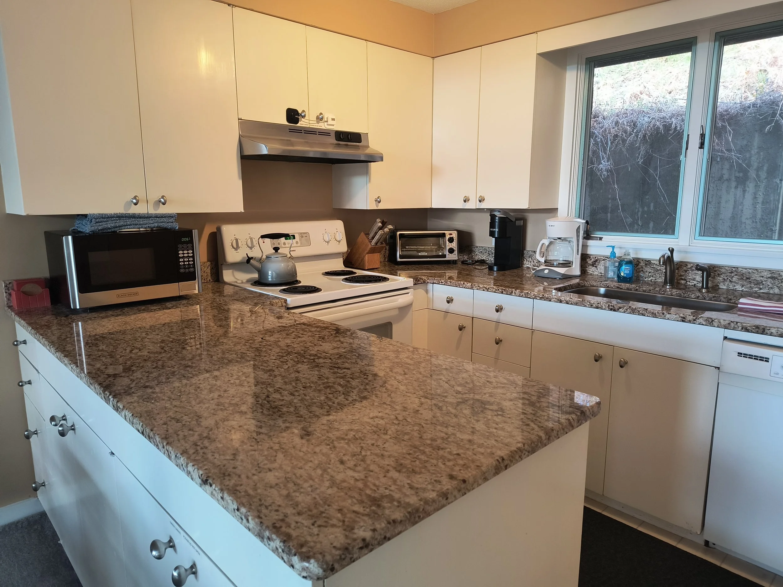 Updated Kitchen
