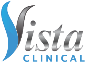 Stylized logo with the word 'Vista' in gray and white letters, with a blue and gray abstract design to the left.
