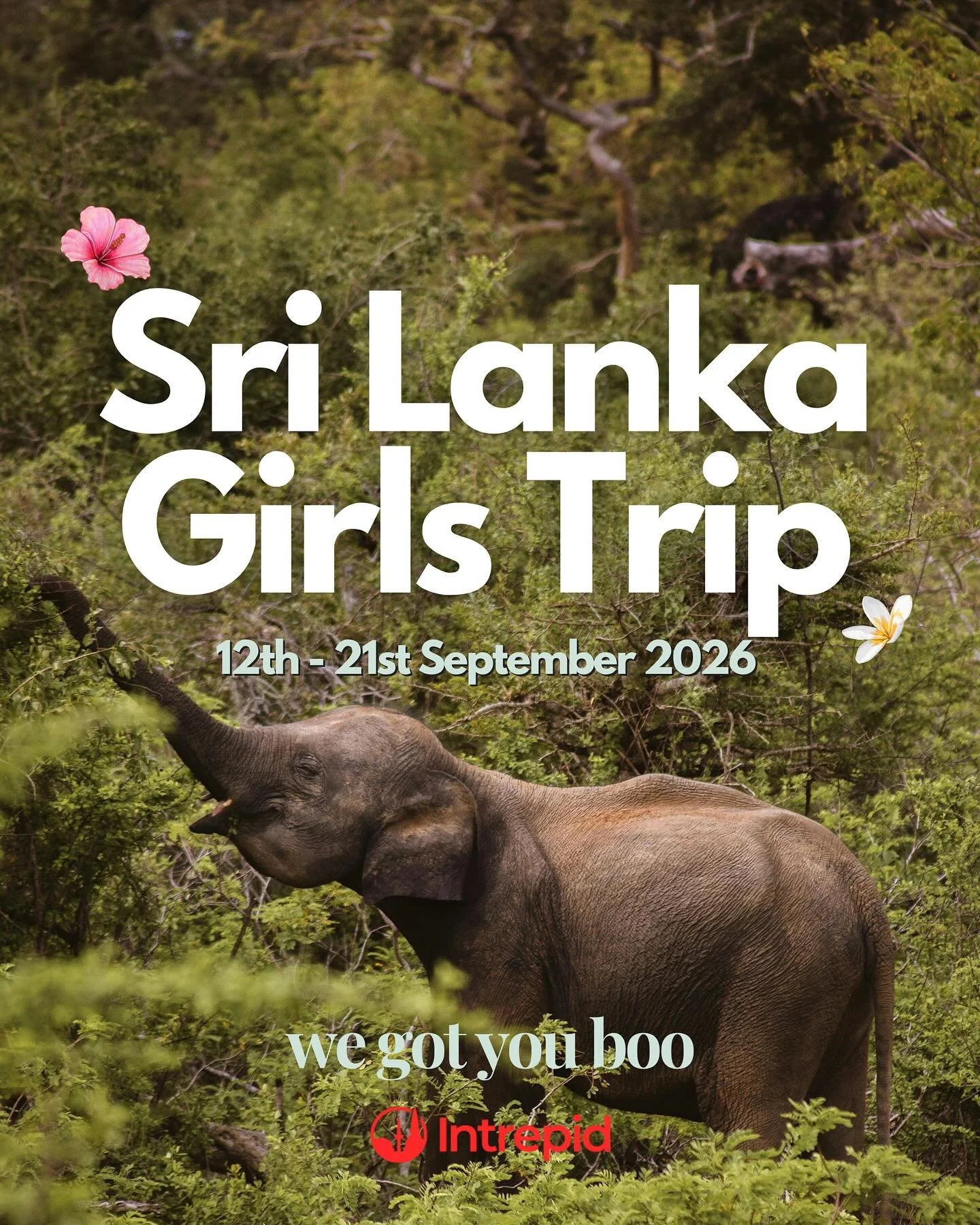 🐘🌴 BOOKING OPENS FRIDAY &hearts;️ The *Kind Girls* Trip Of A Lifetime!! 🇱🇰

Comment &ldquo;SRI LANKA&rdquo; &amp; I&rsquo;ll DM you the full itinerary &amp; pricing!

&bull; 10 Days exploring the breathtaking landscapes of Sri Lanka 🌴
&bull; Lus