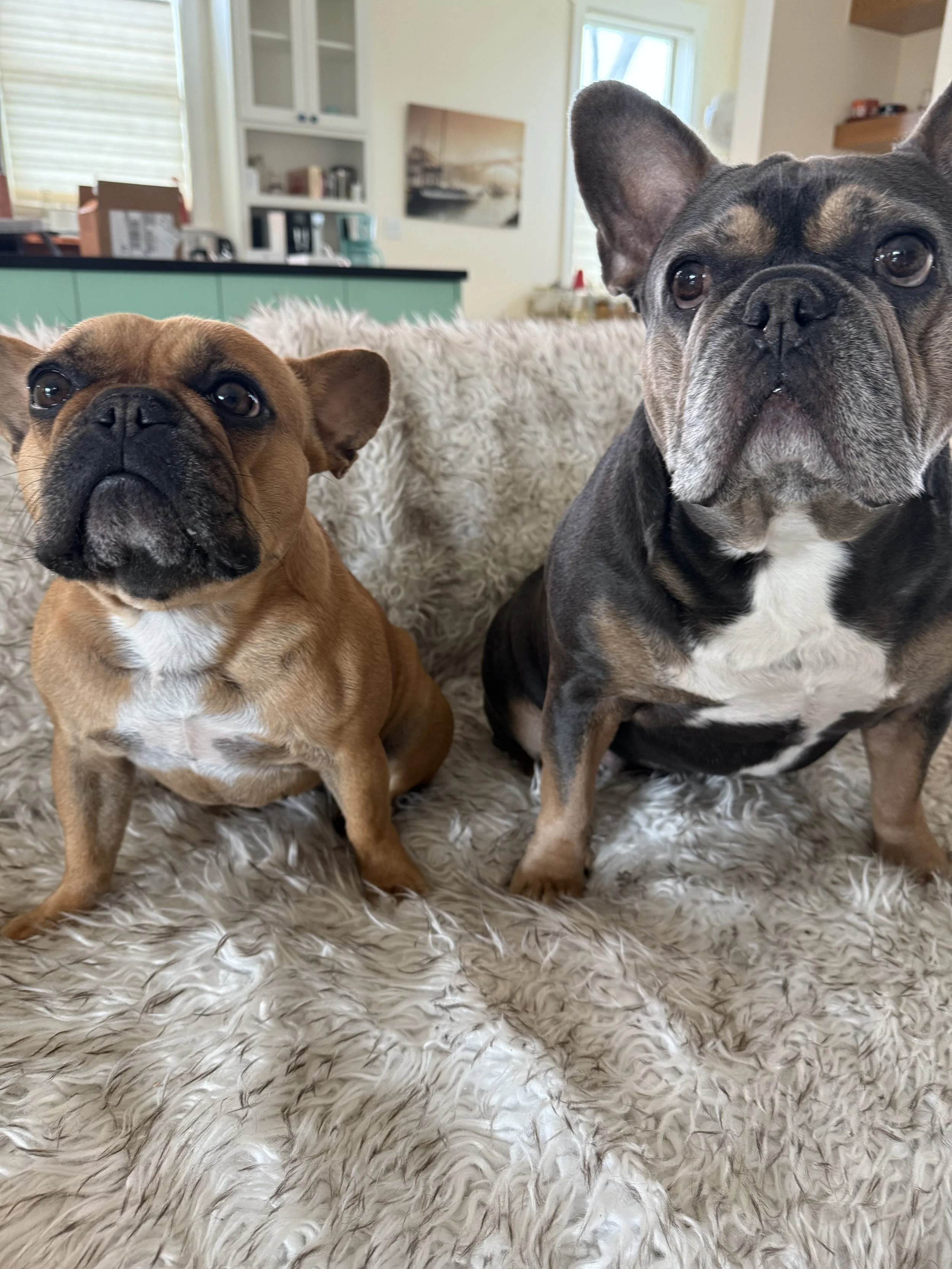 A young woman with black hair tied in a messy ponytail, wearing a denim jacket and hoop earrings, looking into the camera against a light pink background.
