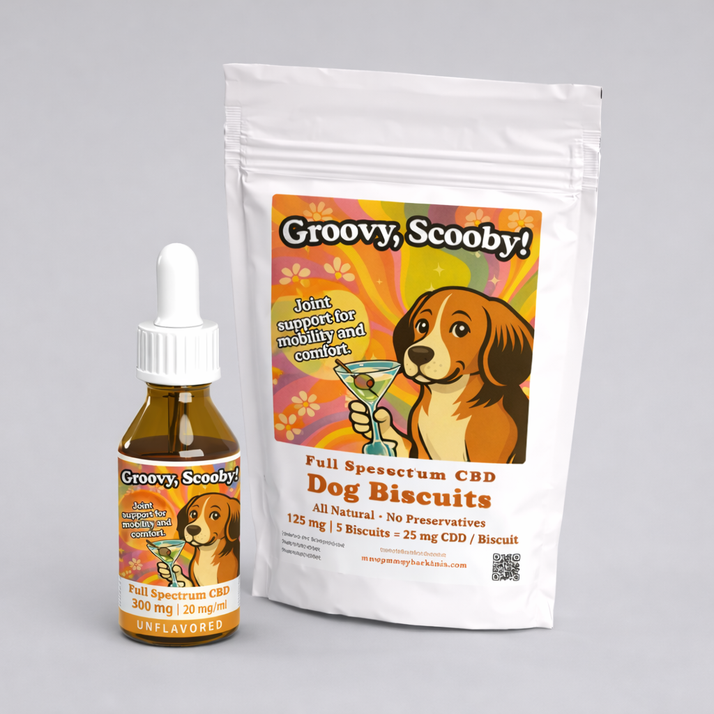 Groovy, Scooby! Bundle