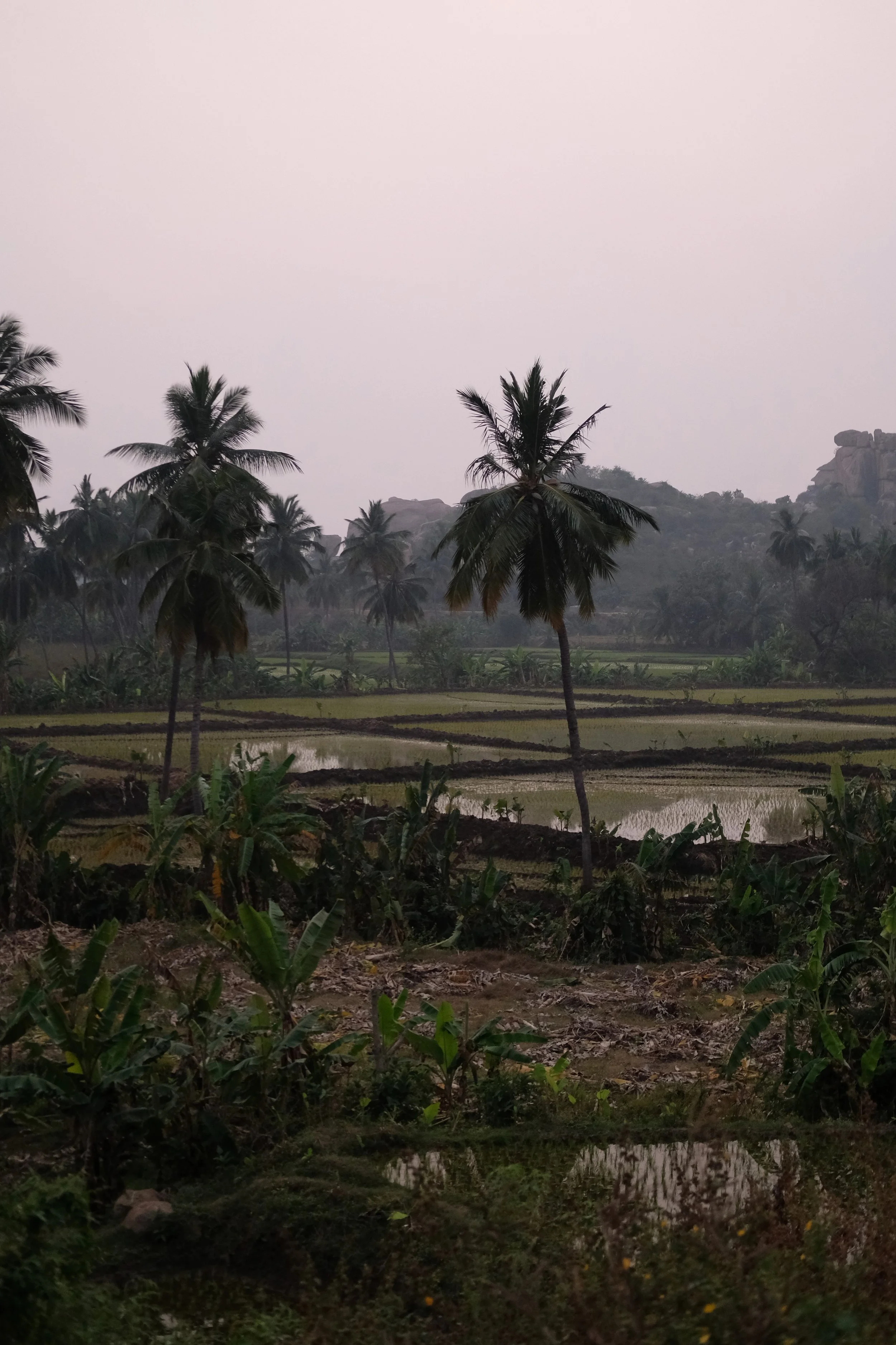 DSCF6384.jpg
