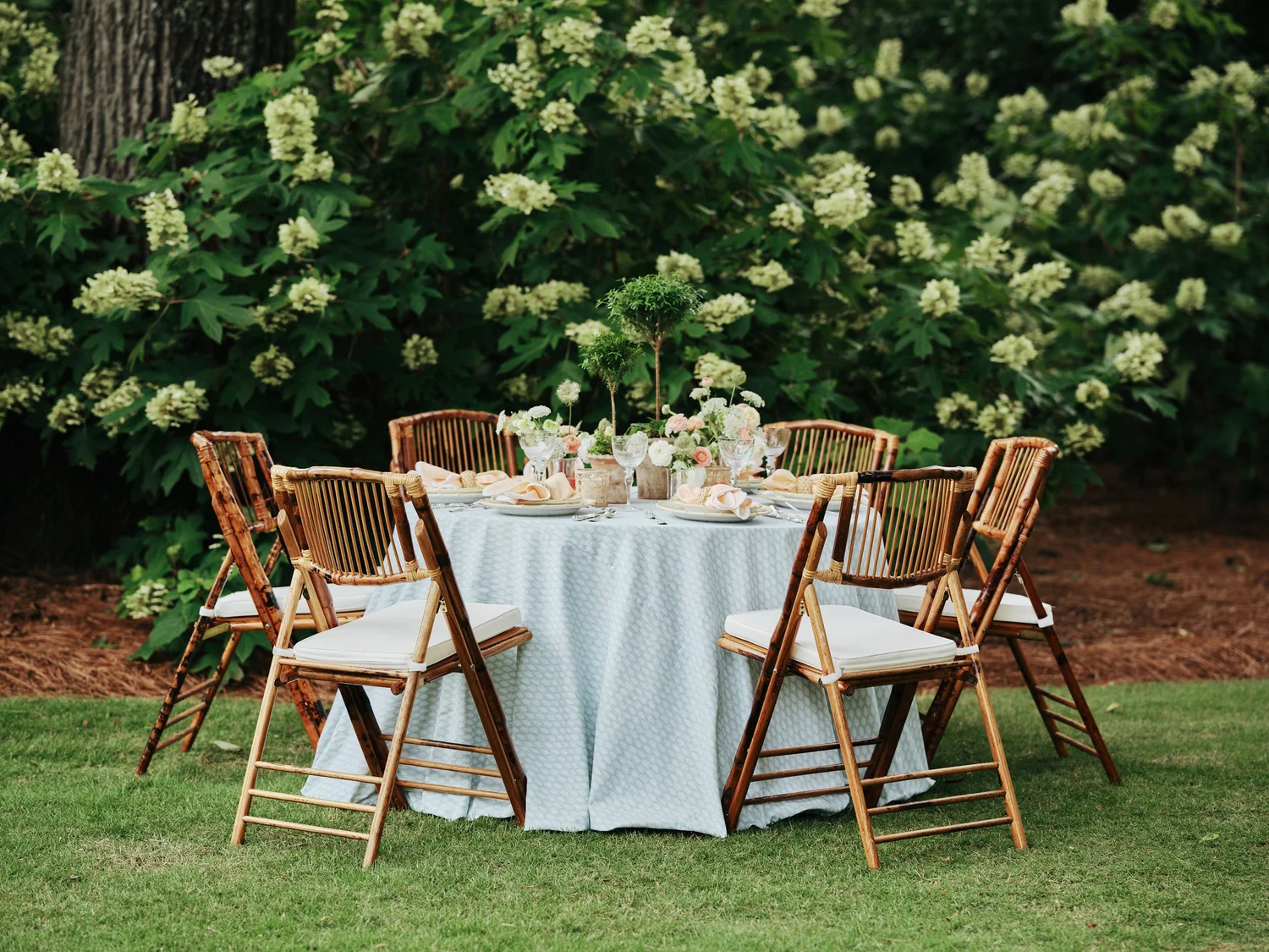 Linens Rental Array Rentals — Favour Linens