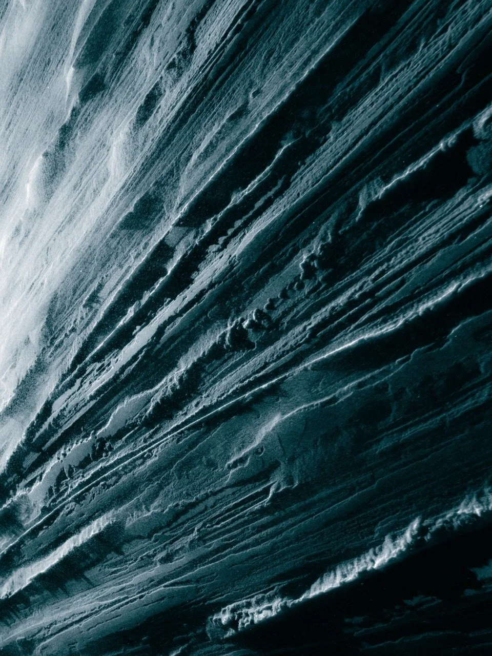 _DSF8736 - Grande.jpeg