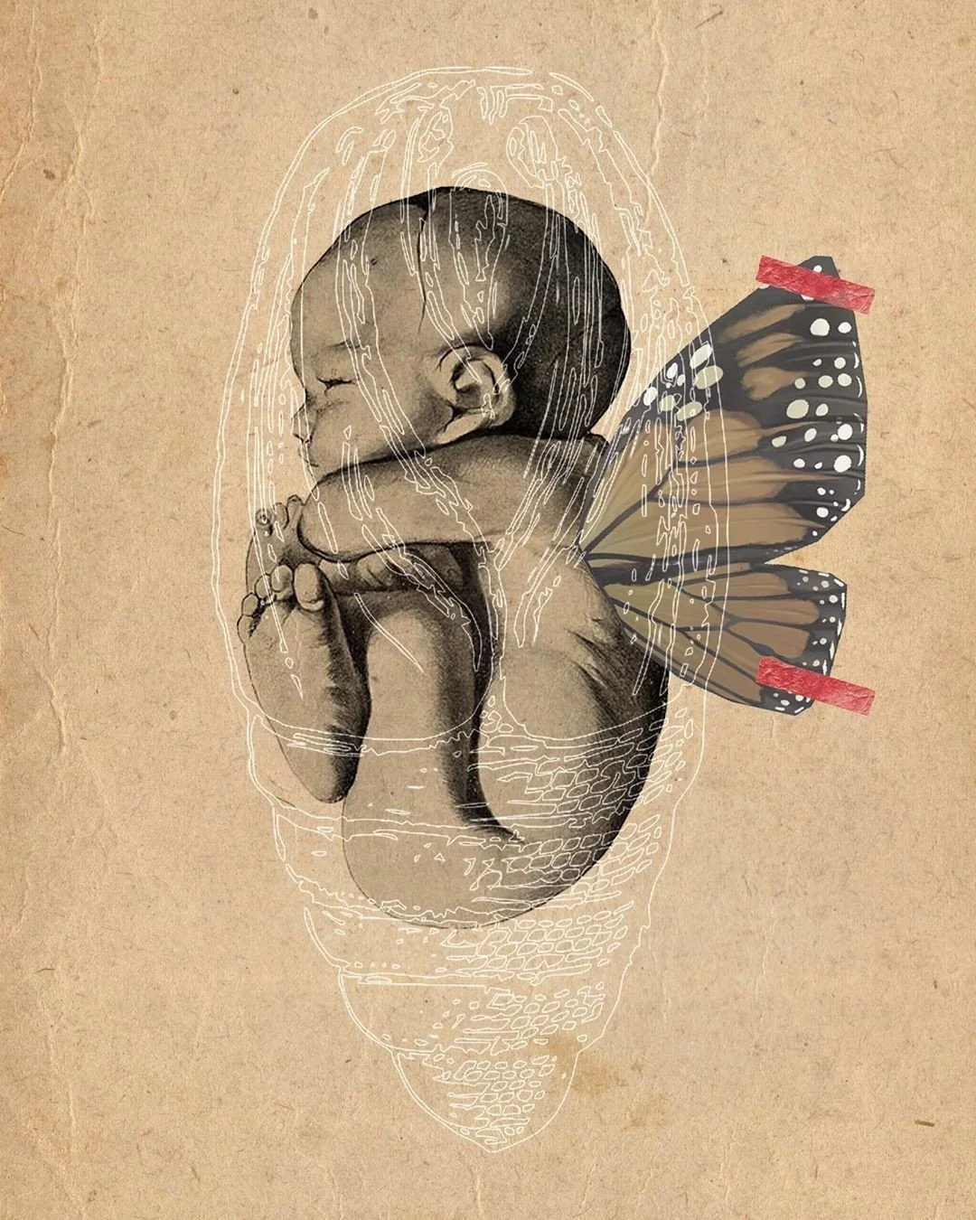 Adoption: The Primal Wound That Shapes Everything.