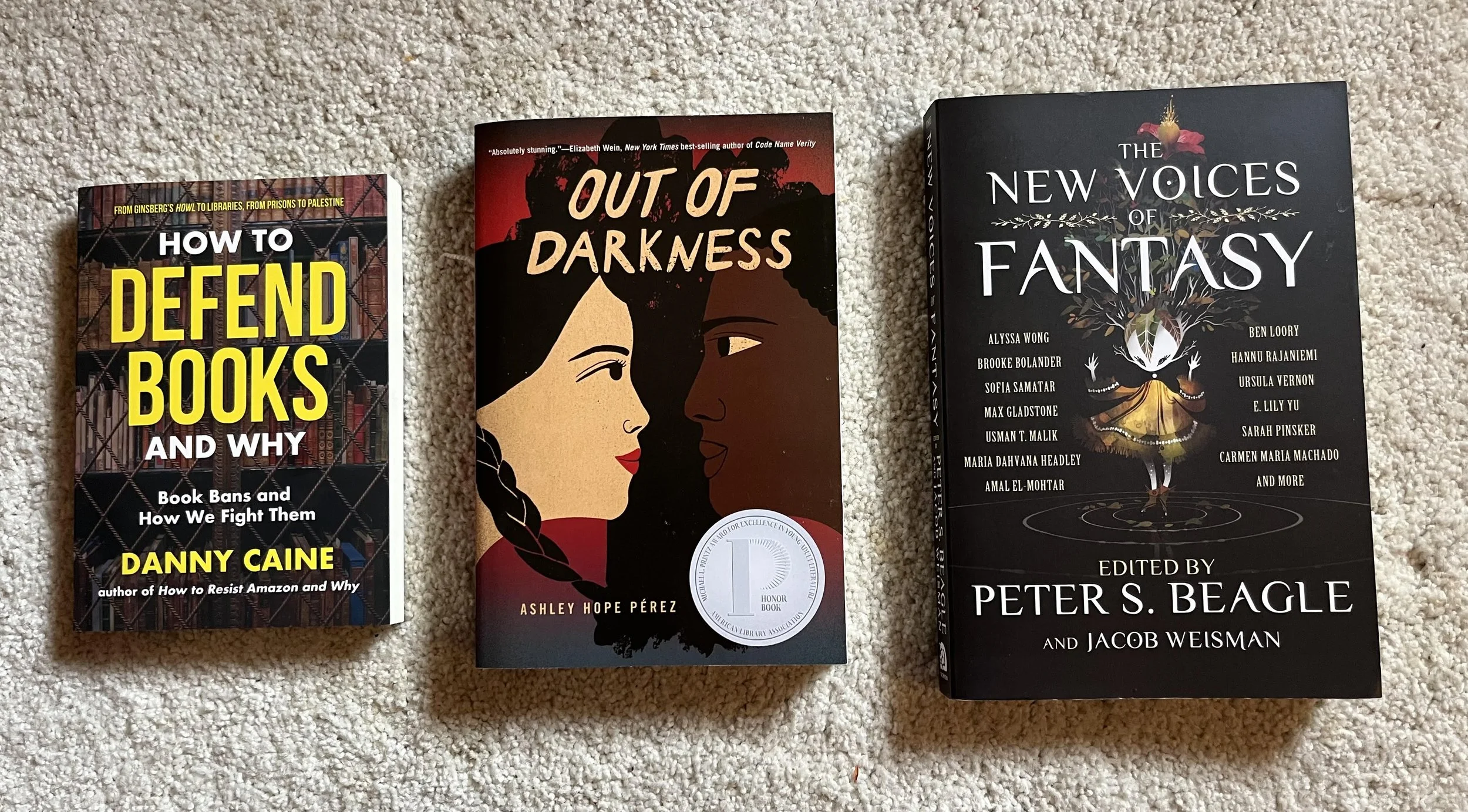 image of 3 books. from left to right, How to Defend Books and Why, Out of Darkness, The New Voices of Fantasy
