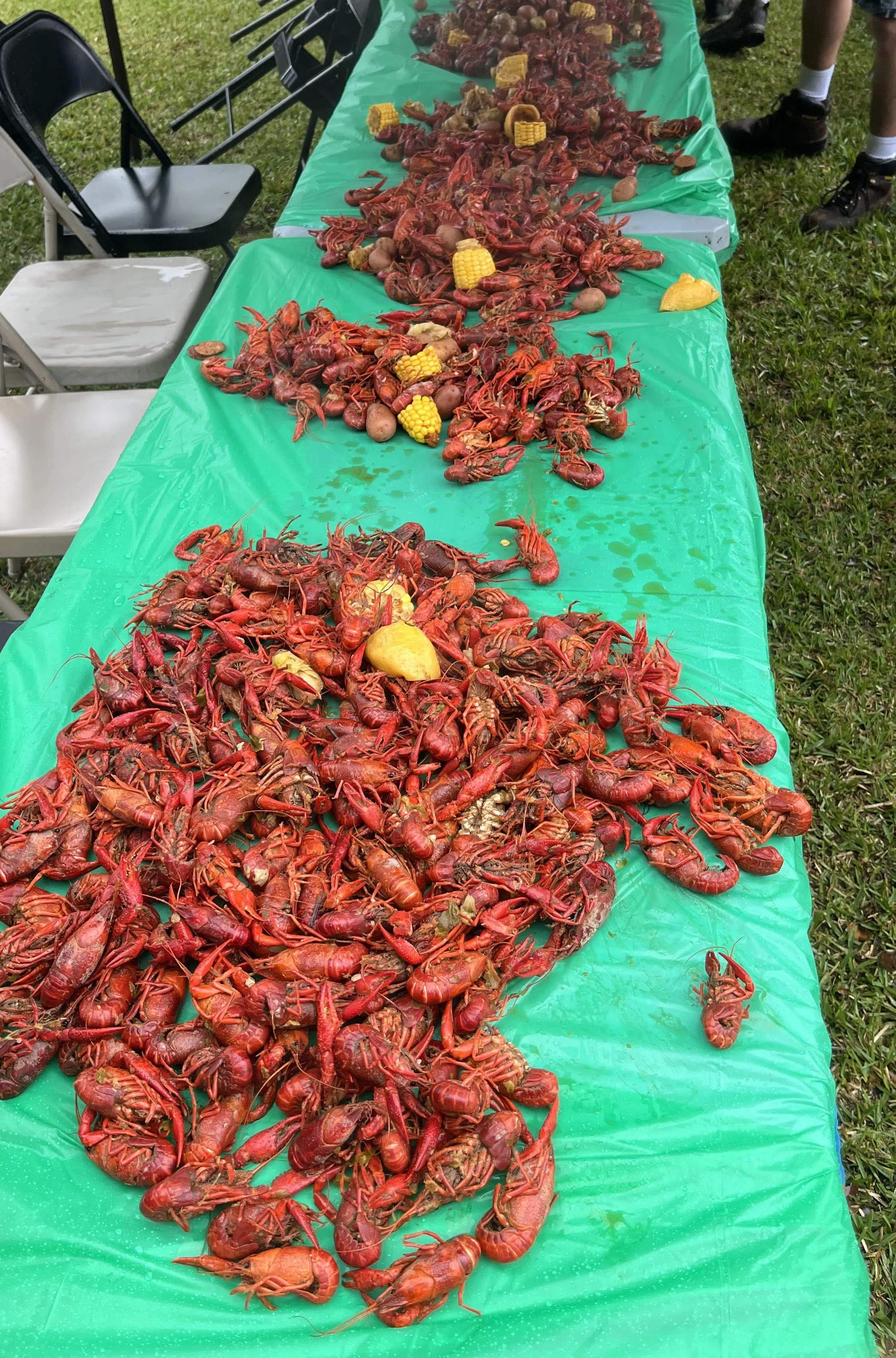crawfish spread across a table with a green tablecloth outside