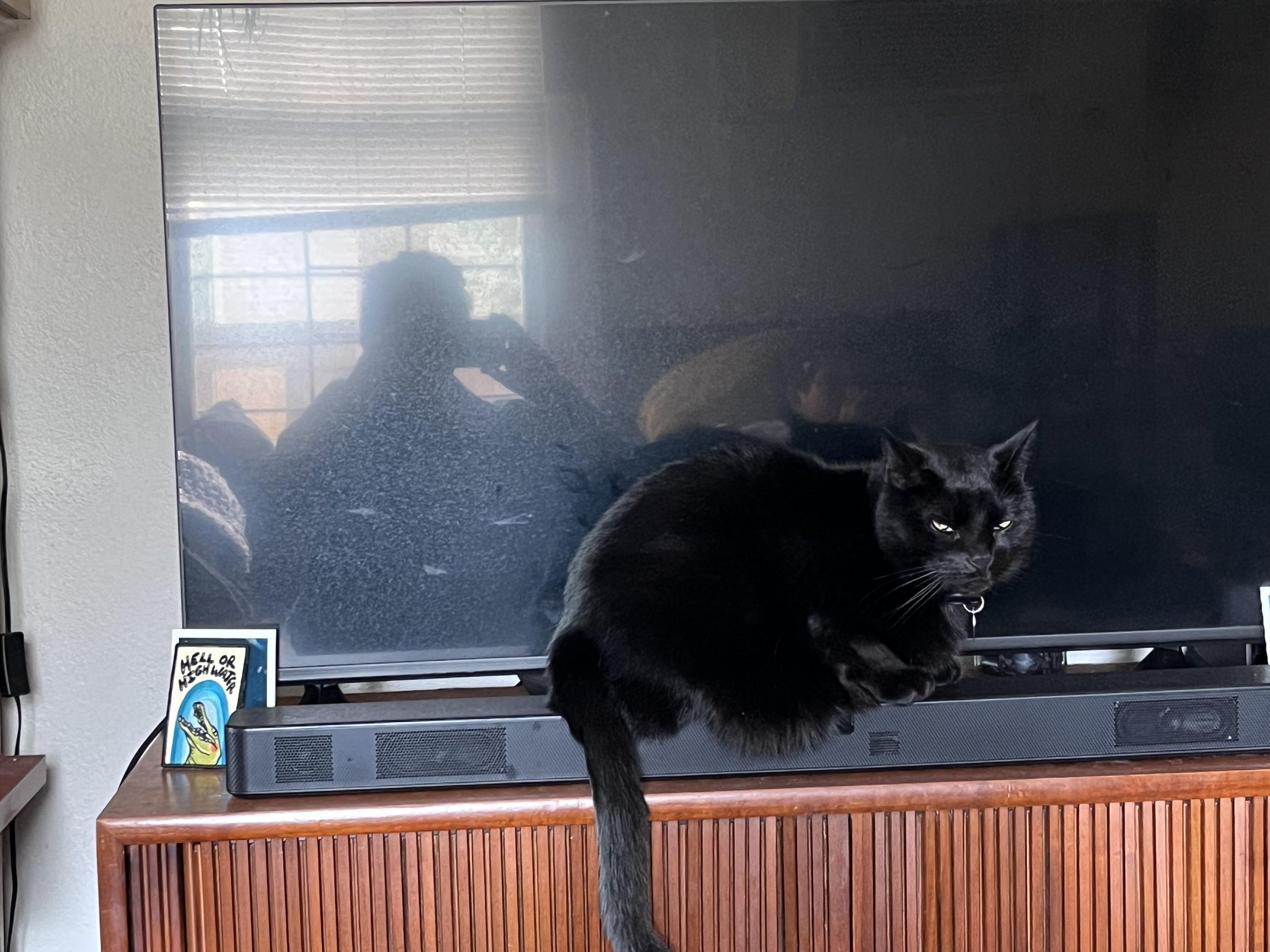 black cat sitting on a soundbar in front of a tv that is off