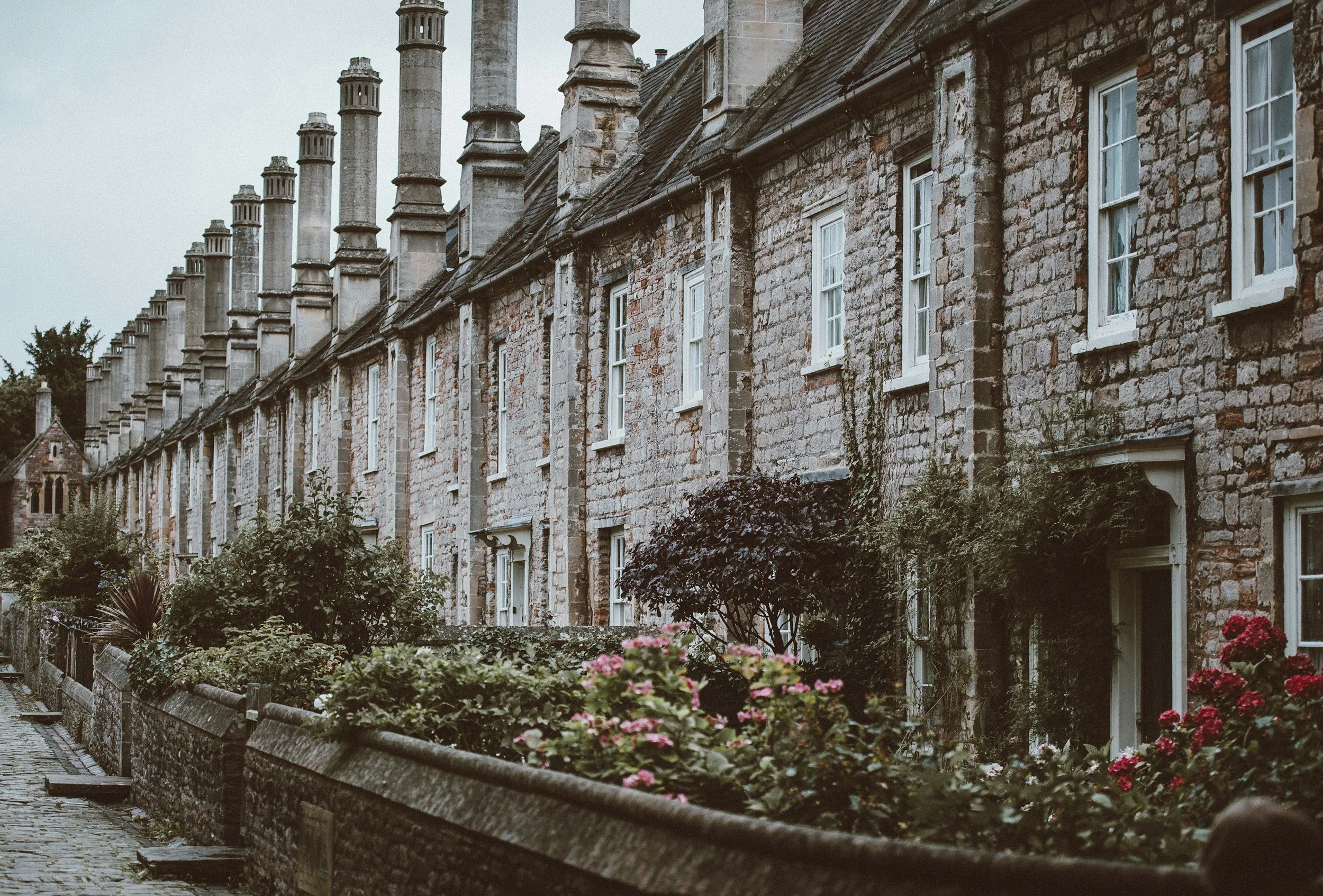 unsplash-image-0XM10BkiuXU.jpg