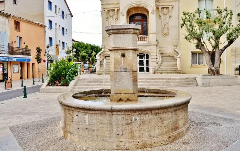 Stone fountain with two water jets in front of a historic building with ornate door and staircase, surrounded by trees and urban street scene.