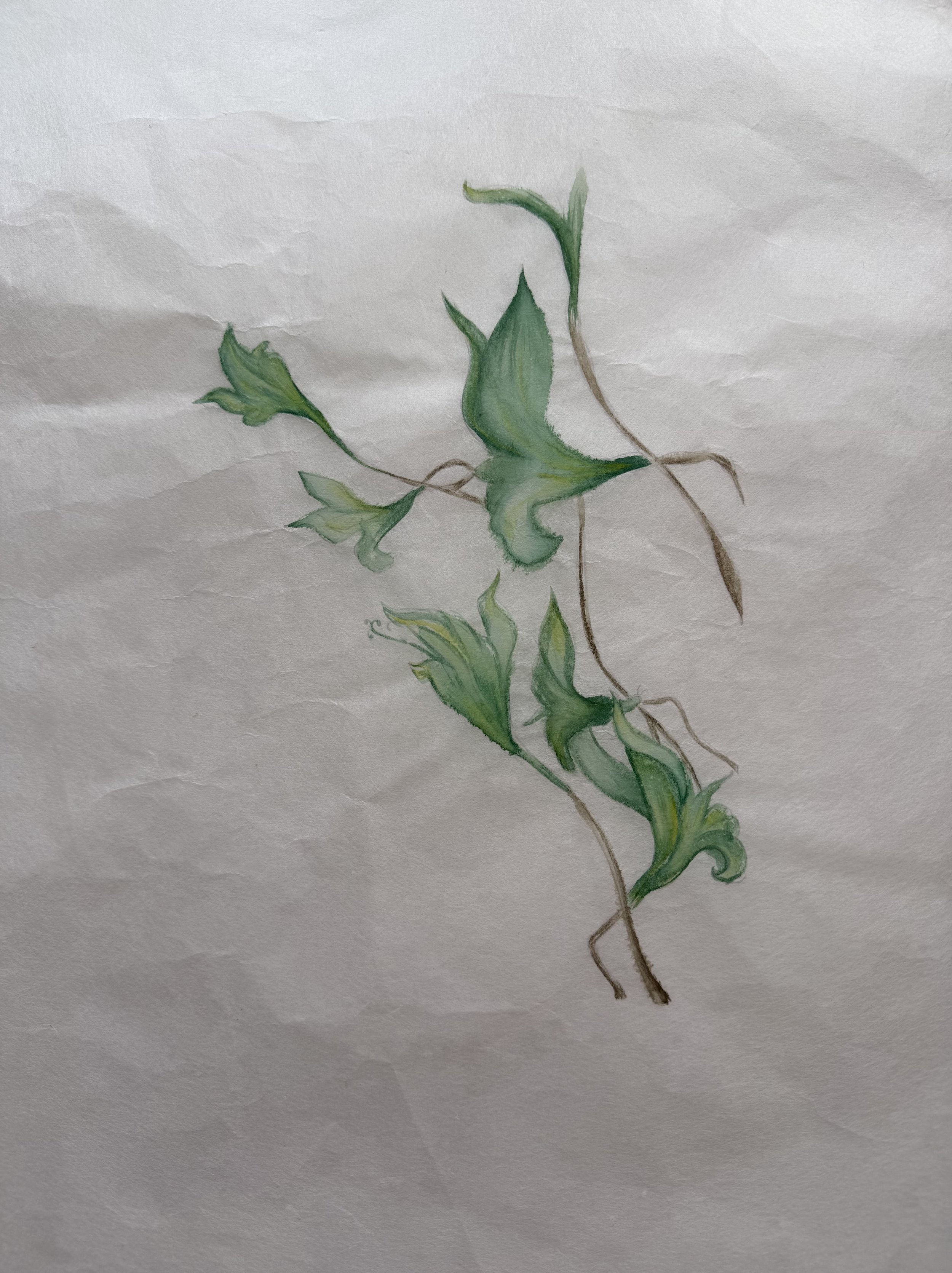 Watercolour on Kozo