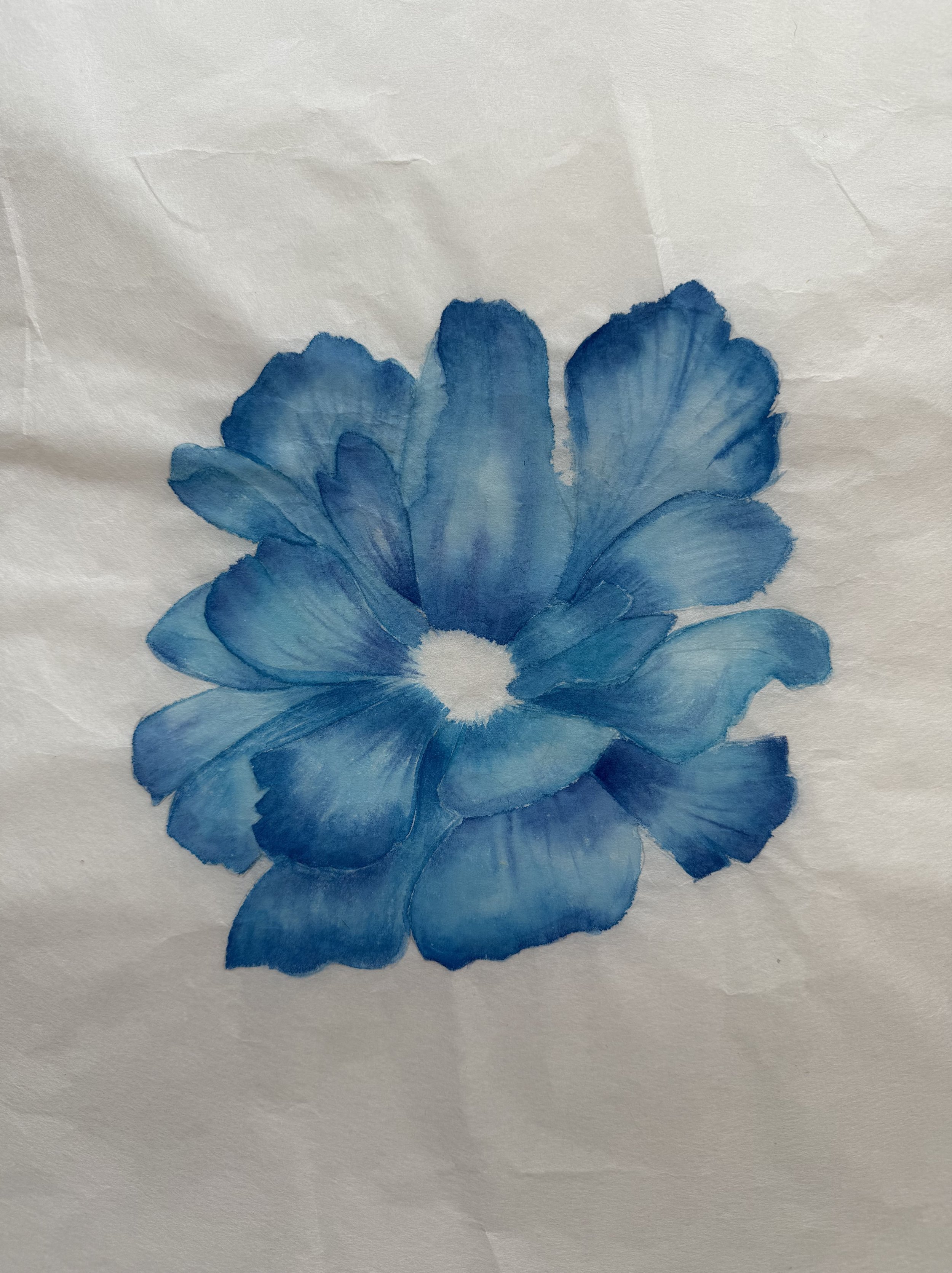 Watercolour on Kozo