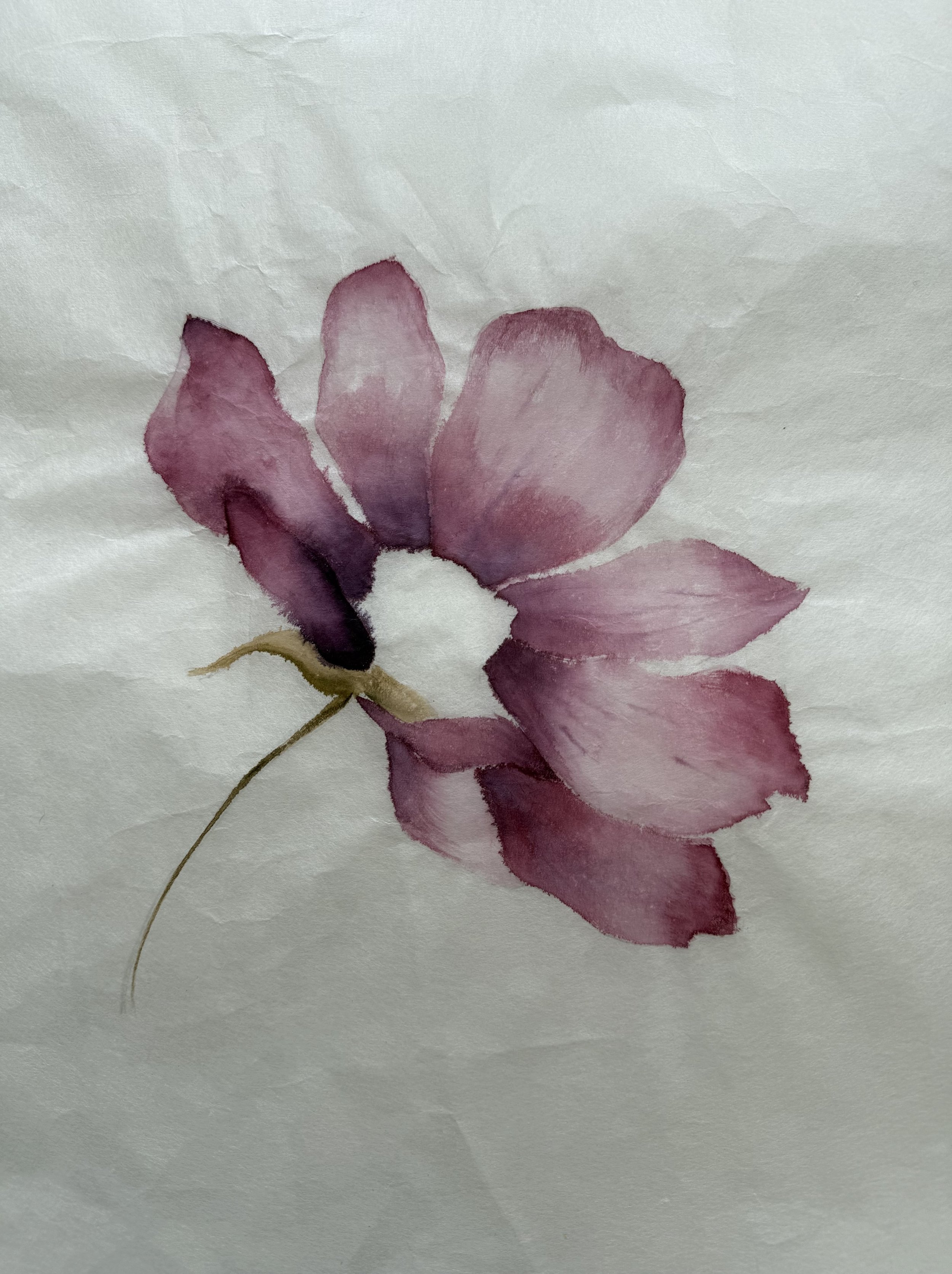 Watercolour on Kozo