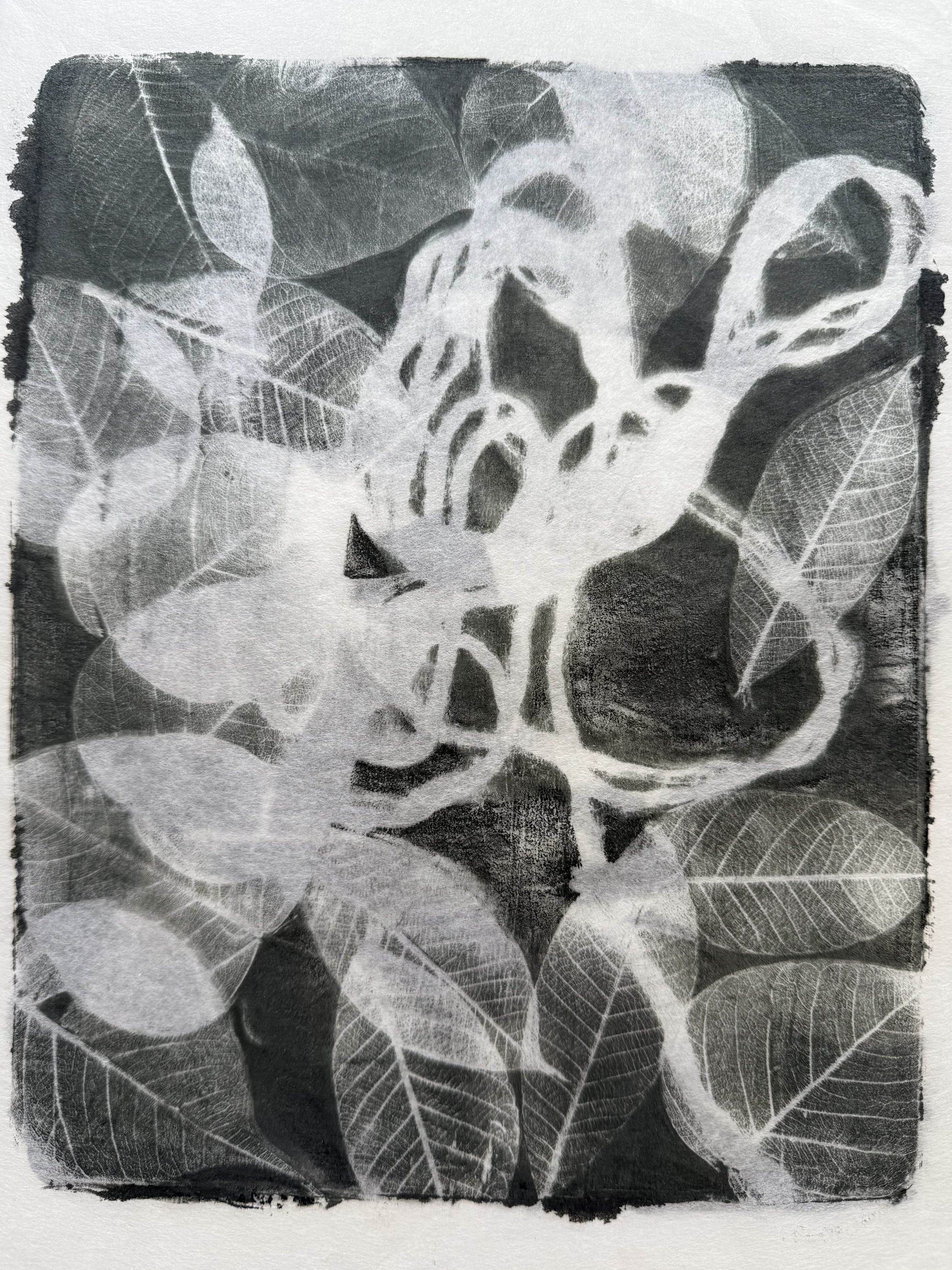 Monotype on Kozo