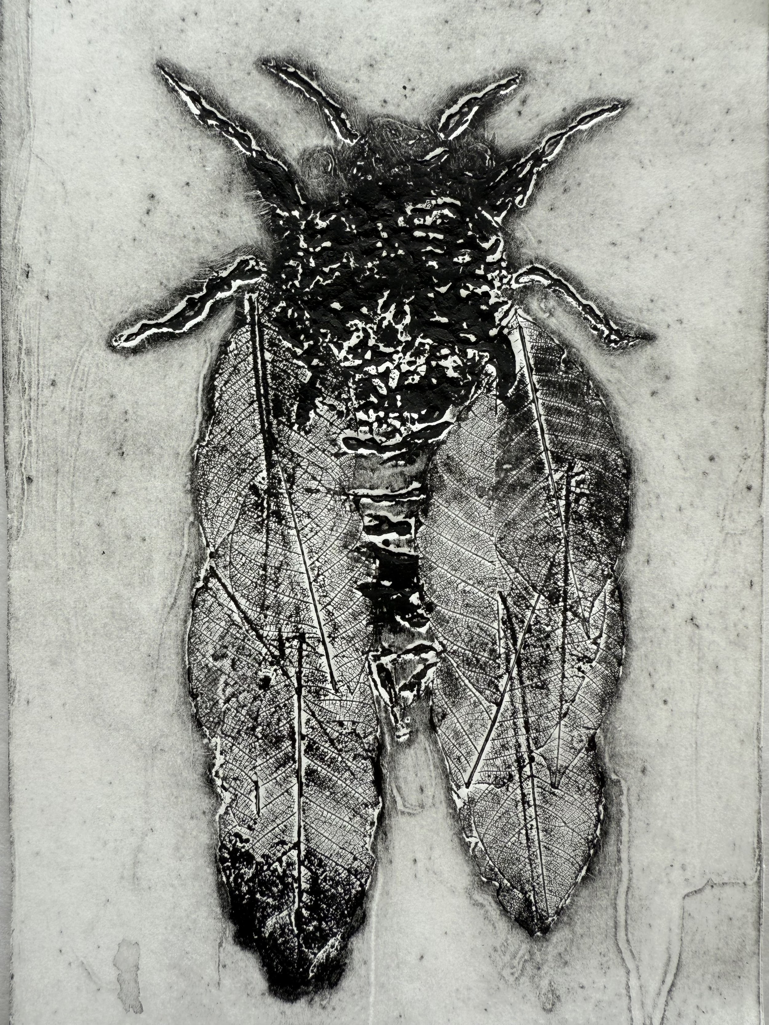 Monotype on BFK