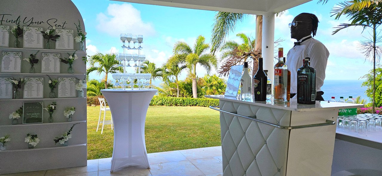 Welcome Drink and Bar setup