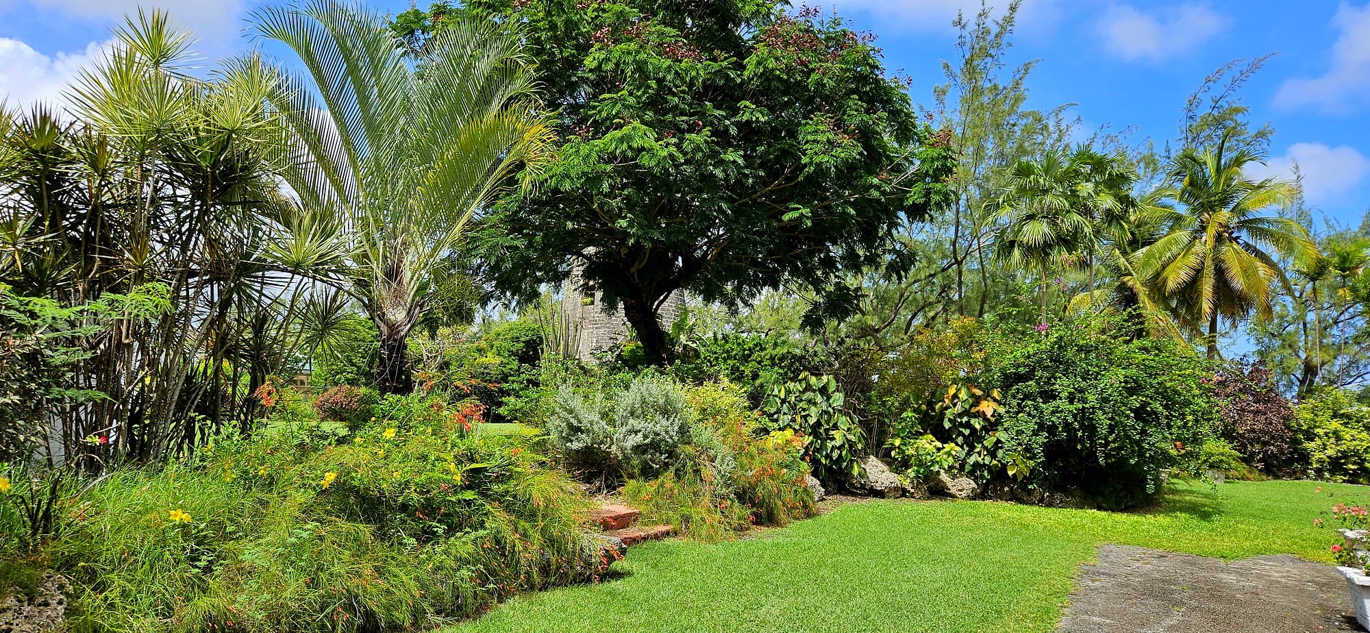 99d8be24-707e-4ca2-b957-d9aa19a2615d.jfif