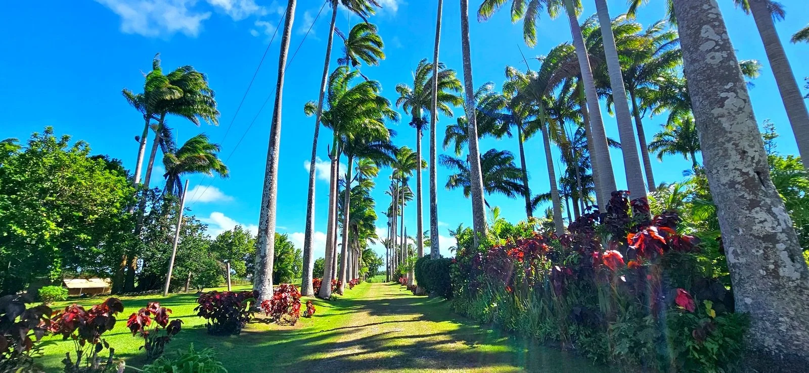 Wedding Venue in Barbados